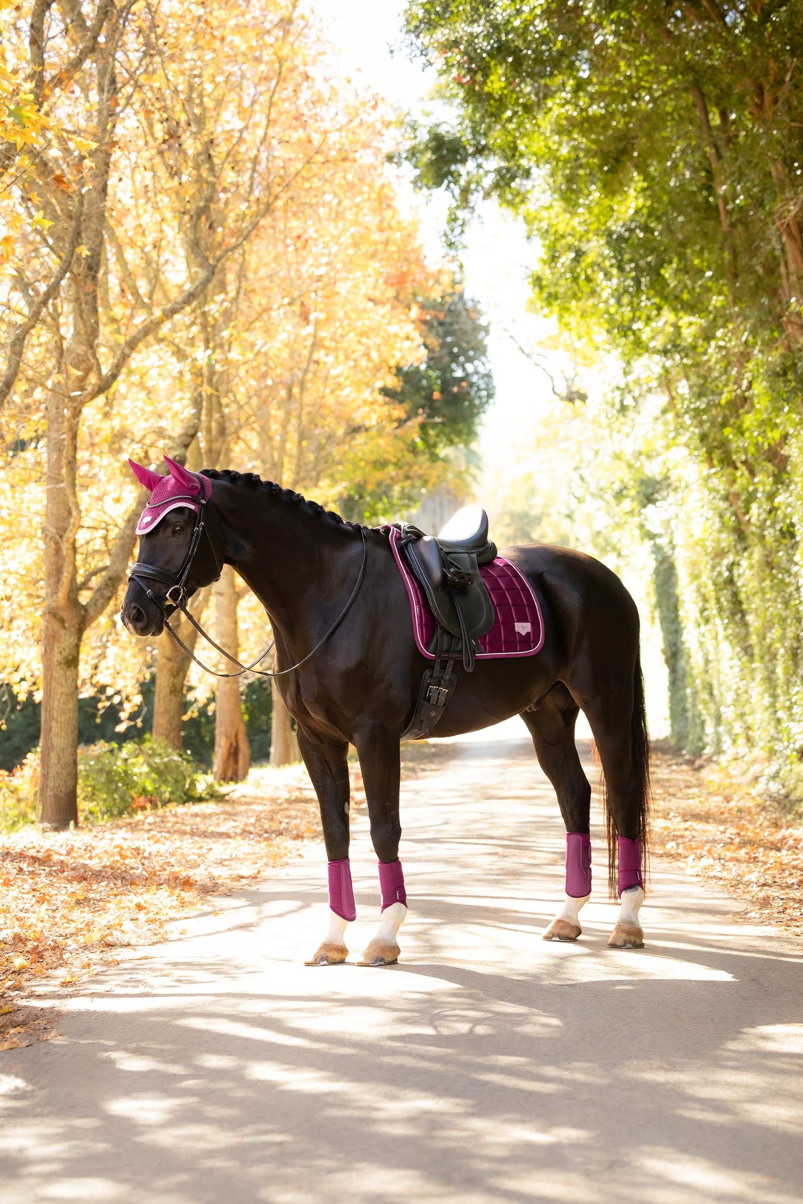 Lifestyle shot 1