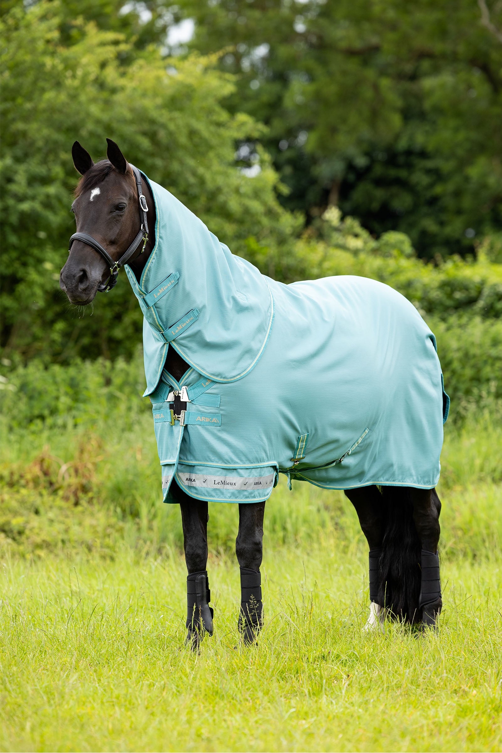 LeMieux Arika 600D Turnout Rug With Detachable Neck, 50g Horse Rugs