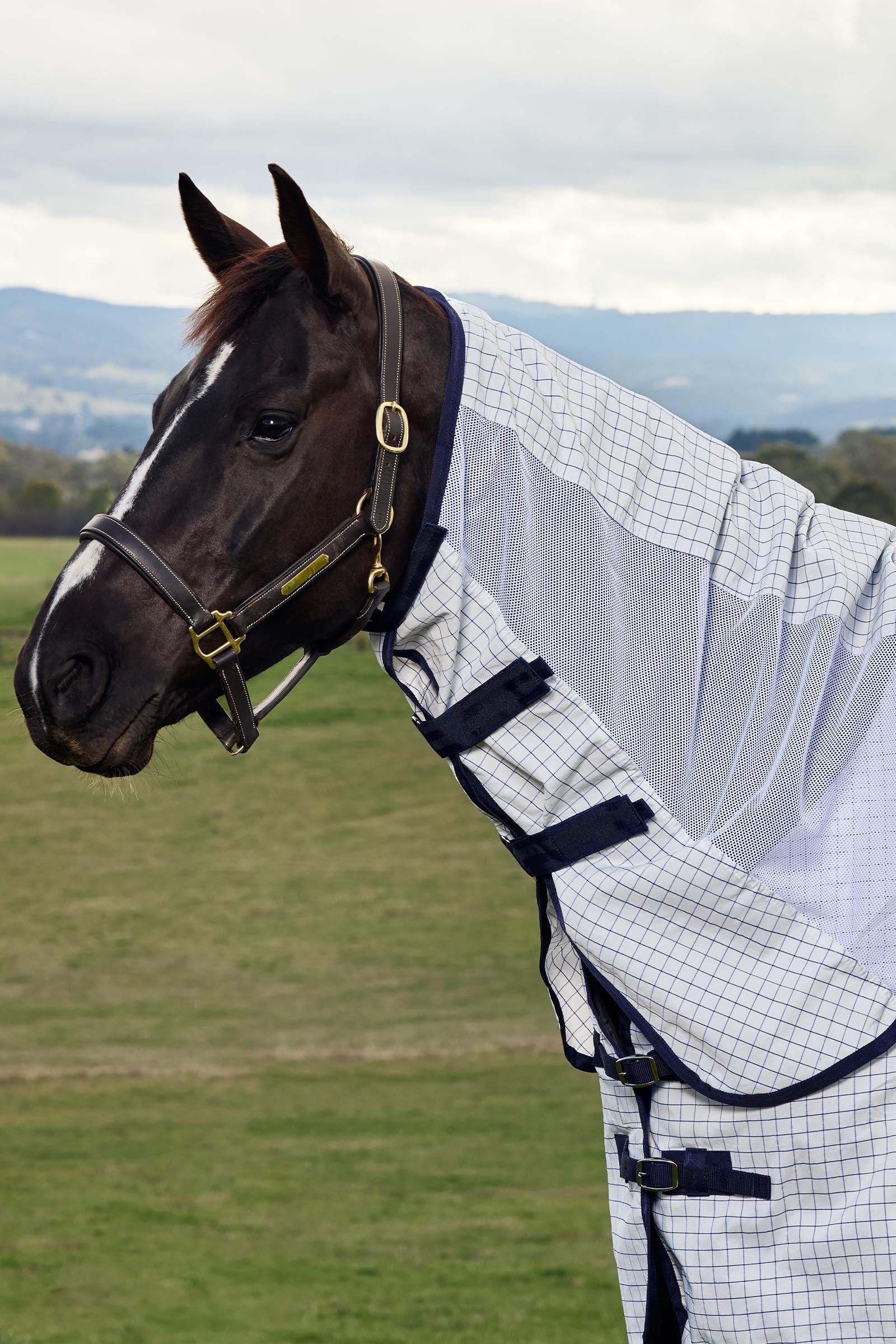 Weatherbeeta Airstream Combo W. Fixed Neck, 0g Horse Rugs