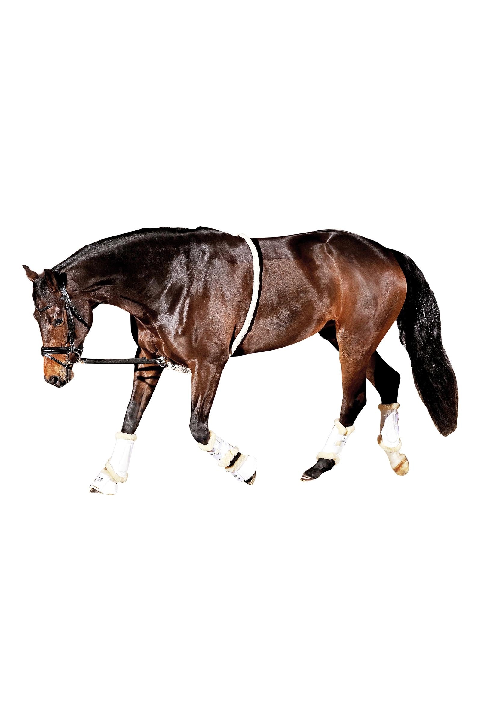 Horse Guard HorseGuard Soft Lunging Aid Lókiképzés