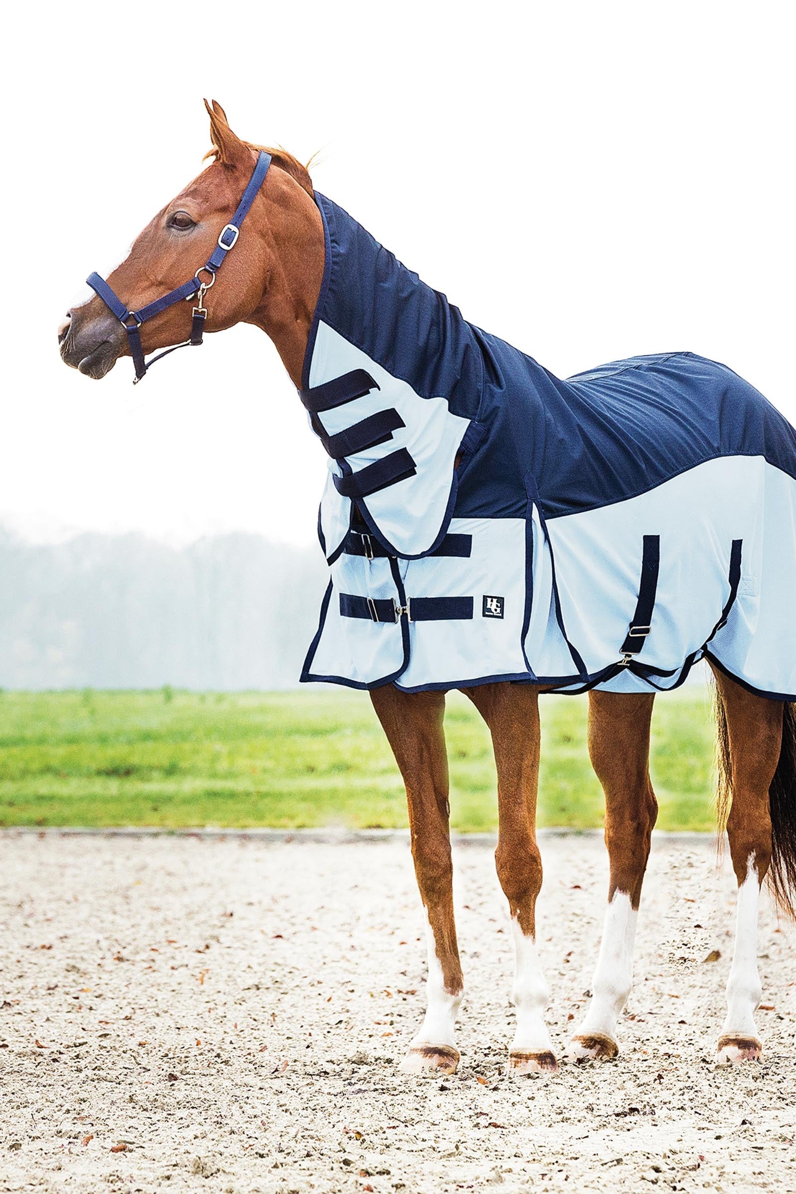 Horse Guard HorseGuard Aiman Rain & Insect Rug Lótakarók