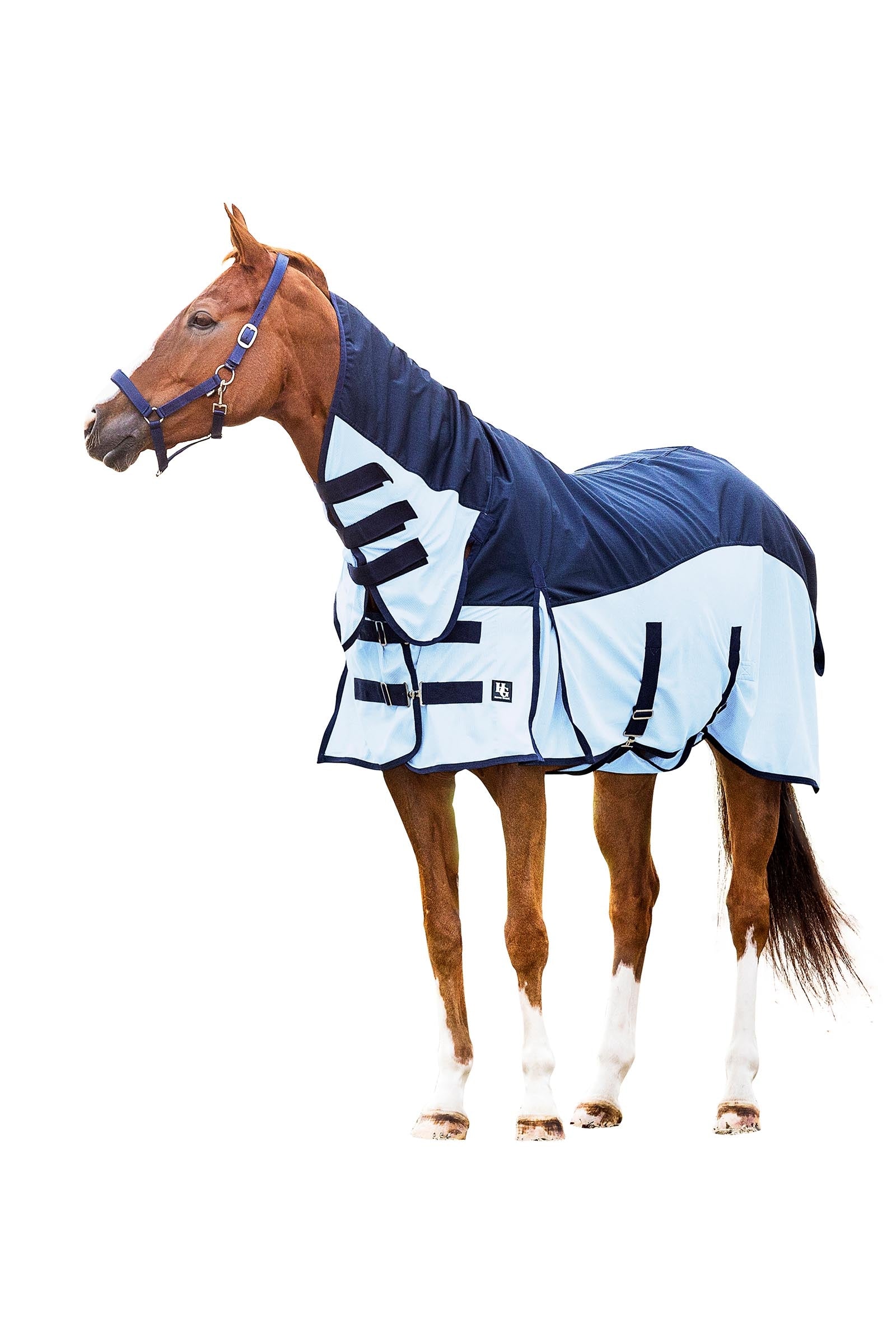 Horse Guard HorseGuard Aiman Rain & Insect Rug Horse Rugs