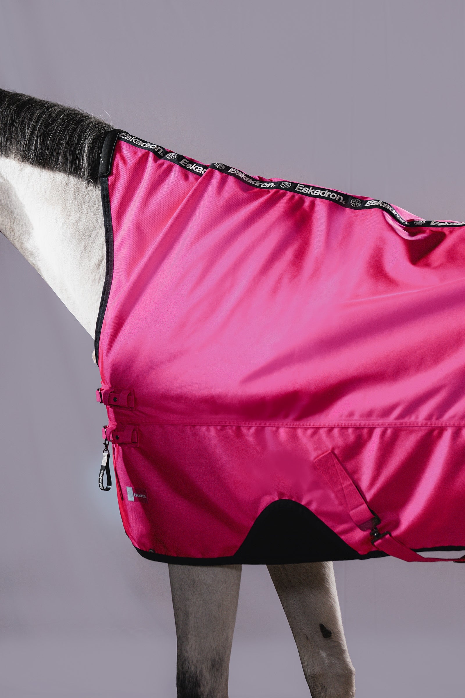 Eskadron Dynamic AW26 Beta 1680D 50g Turnout Rug Horse Rugs