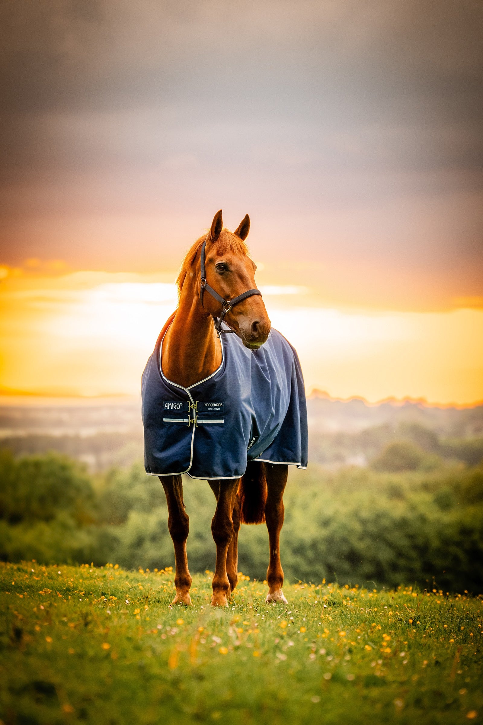 Horseware Amigo Ripstop 900D kültéri takaró polárbéléssel, 50 g Lótakarók