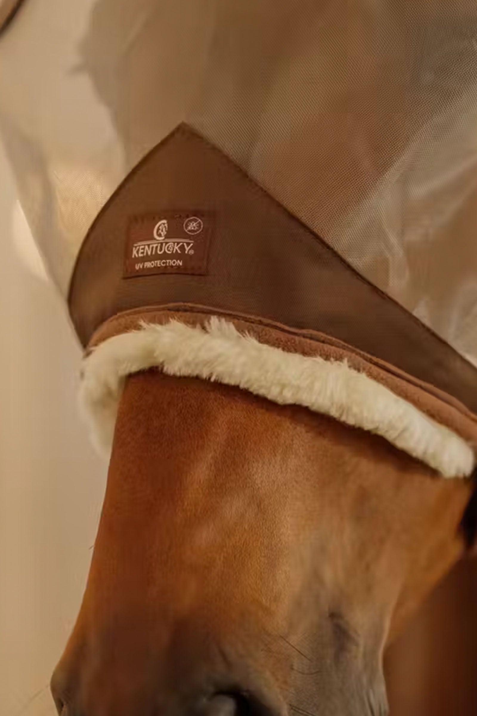 Kentucky Horsewear Fly mask skin friendly with ears Antifly Protection for Horses