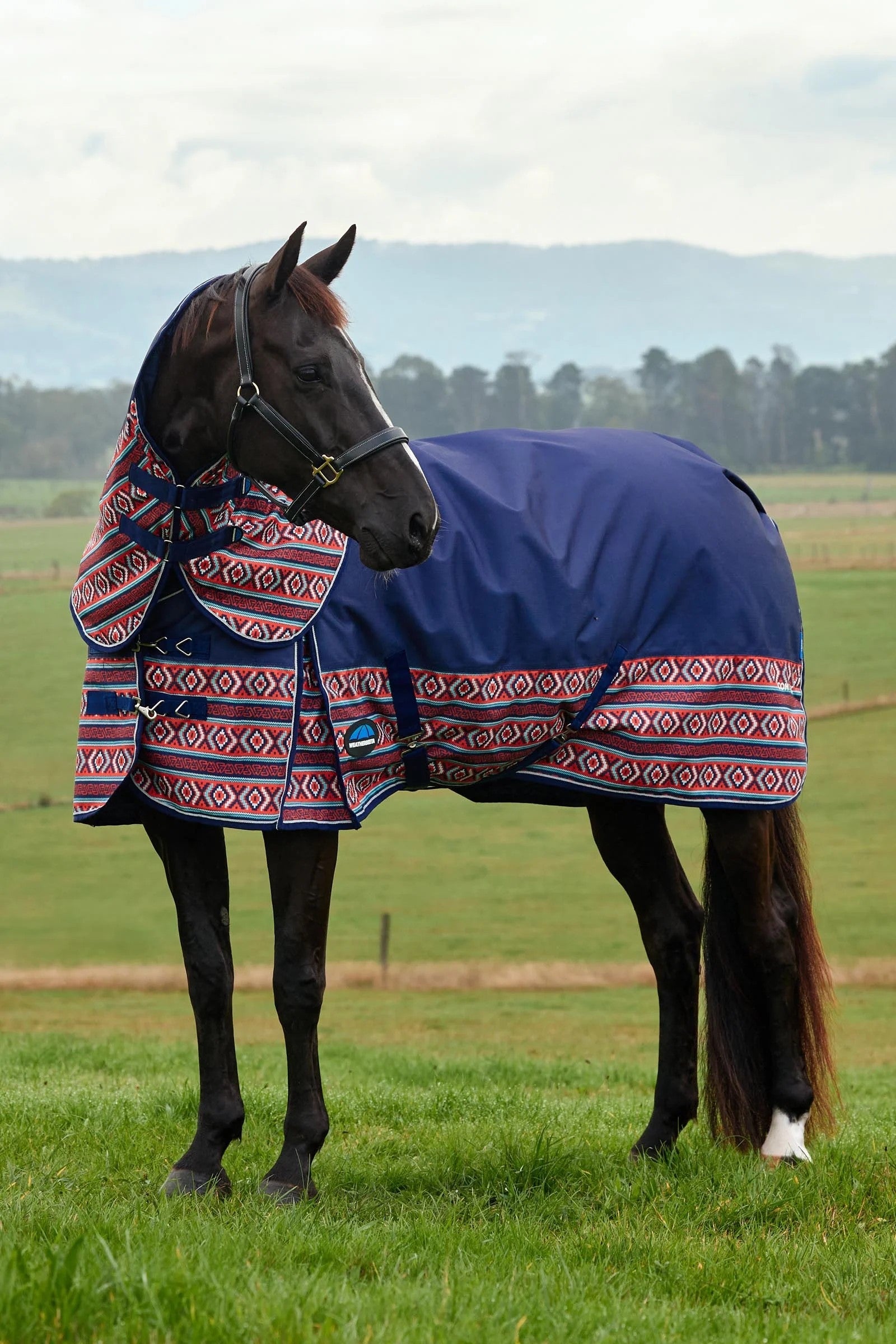 Weatherbeeta Comfitec Legend Turnout Rug Detach-A-Neck 220g Lótakarók