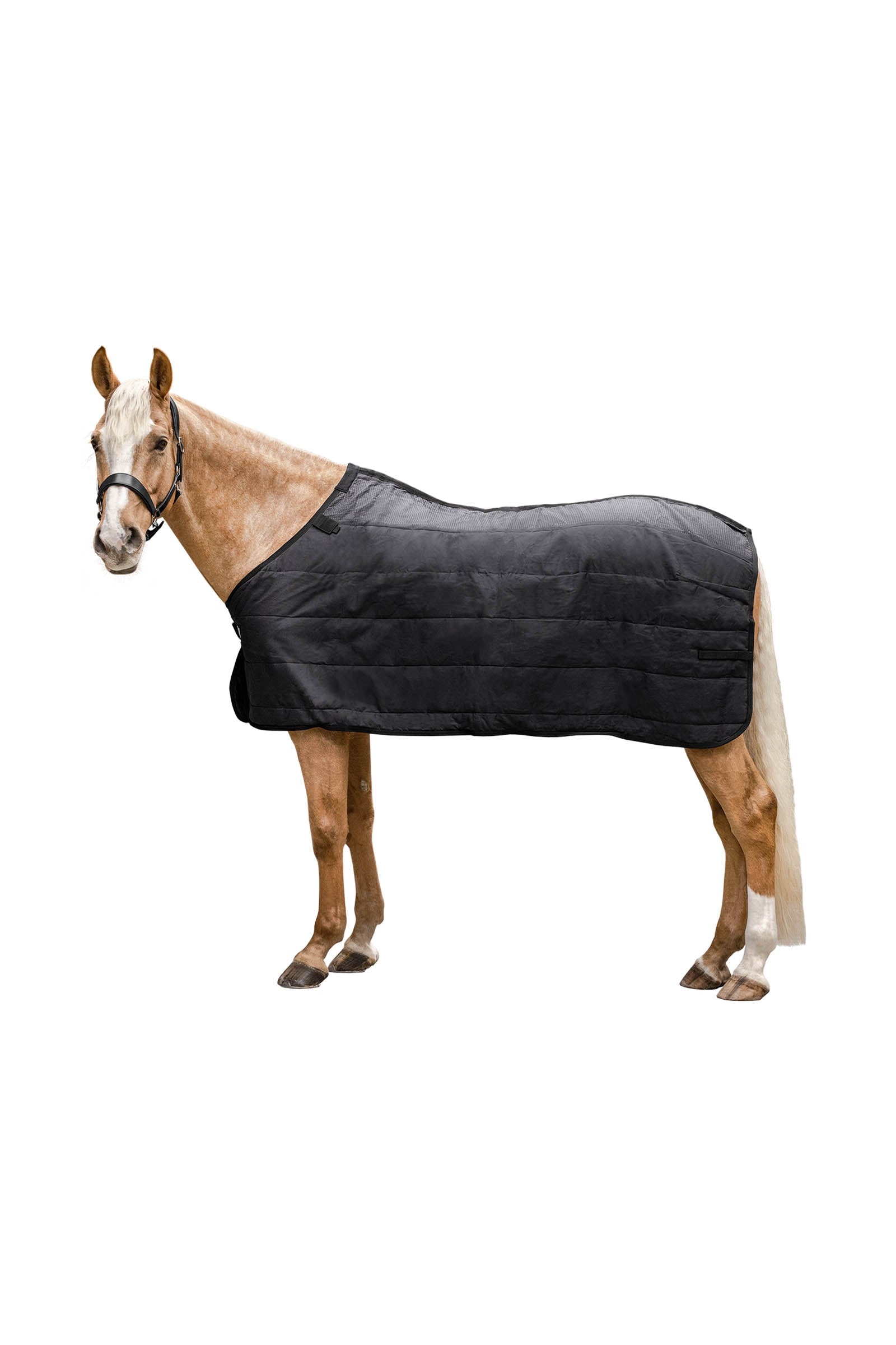 Waldhausen Thermo Underrug 200 g Lótakarók