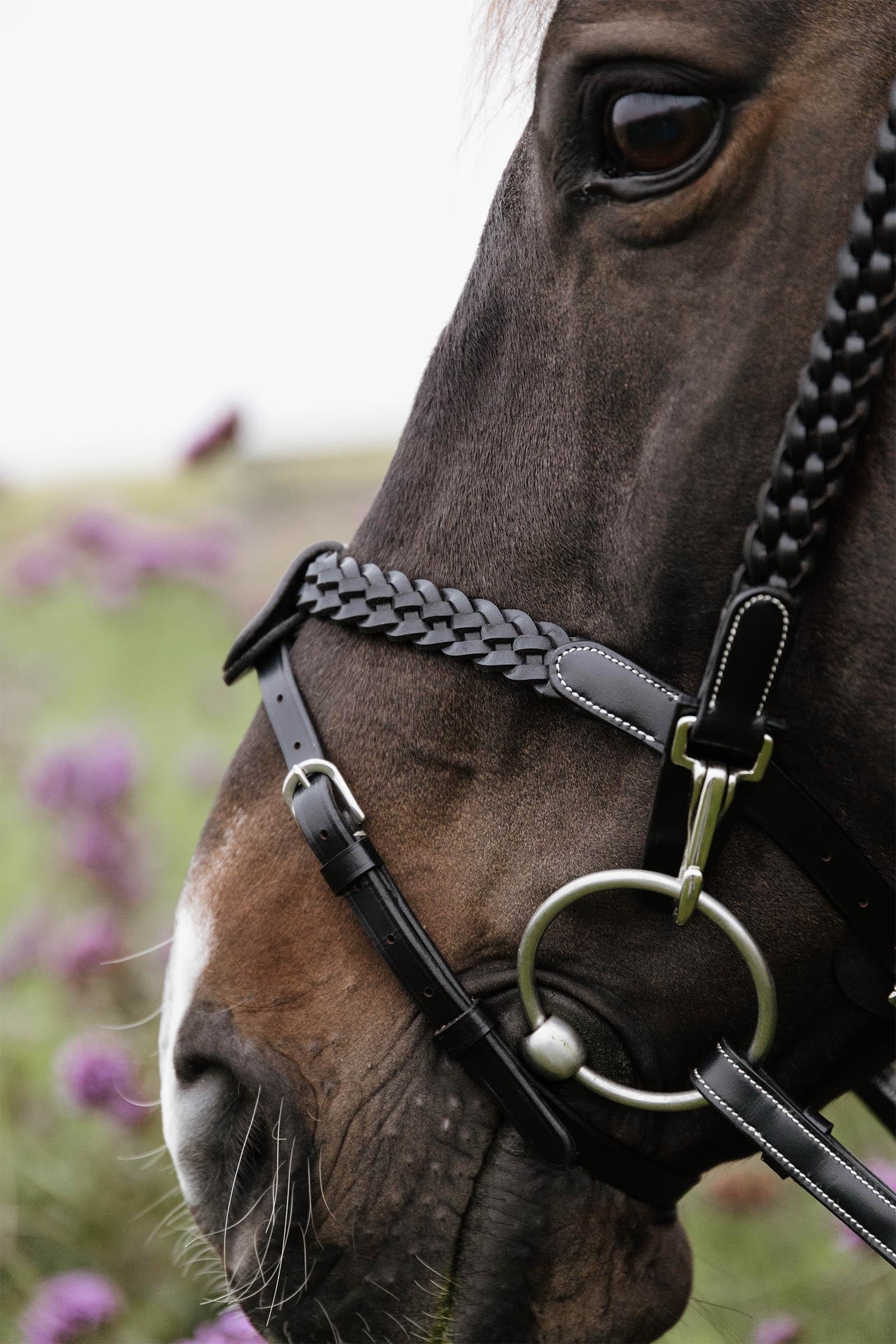 Dy'on Working Plaited Training Bridle Bridles & Reins