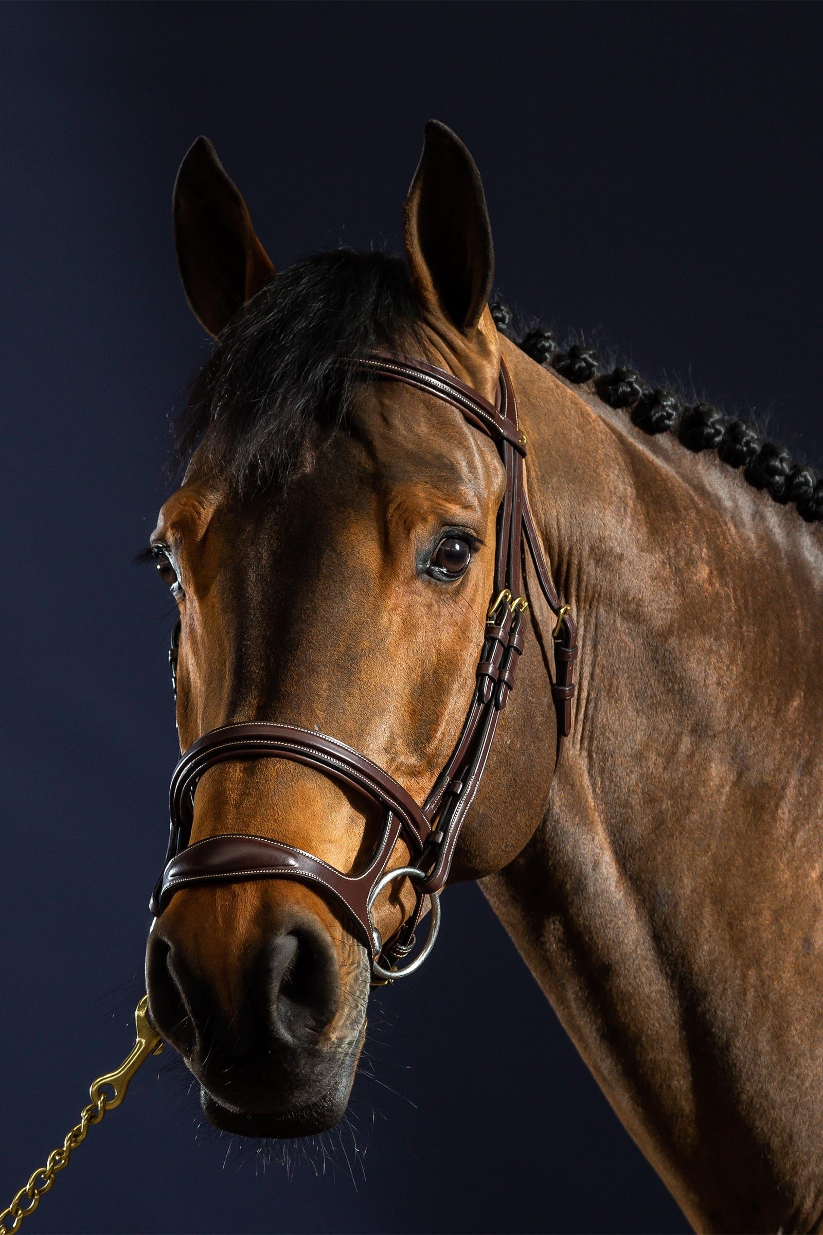 Dy'on D Collection Double Noseband Bridle  Bridles & Reins