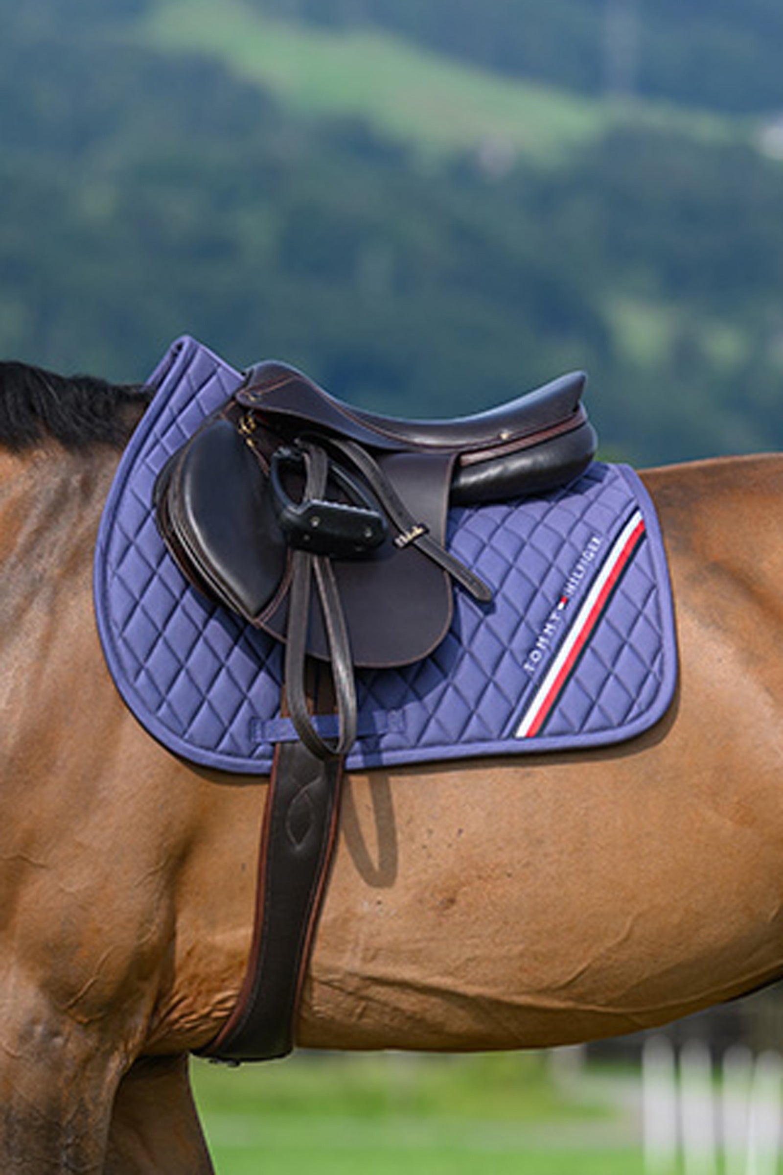 Tommy Hilfiger Equestrian Stanford Jumping Saddlepad Saddle Pads