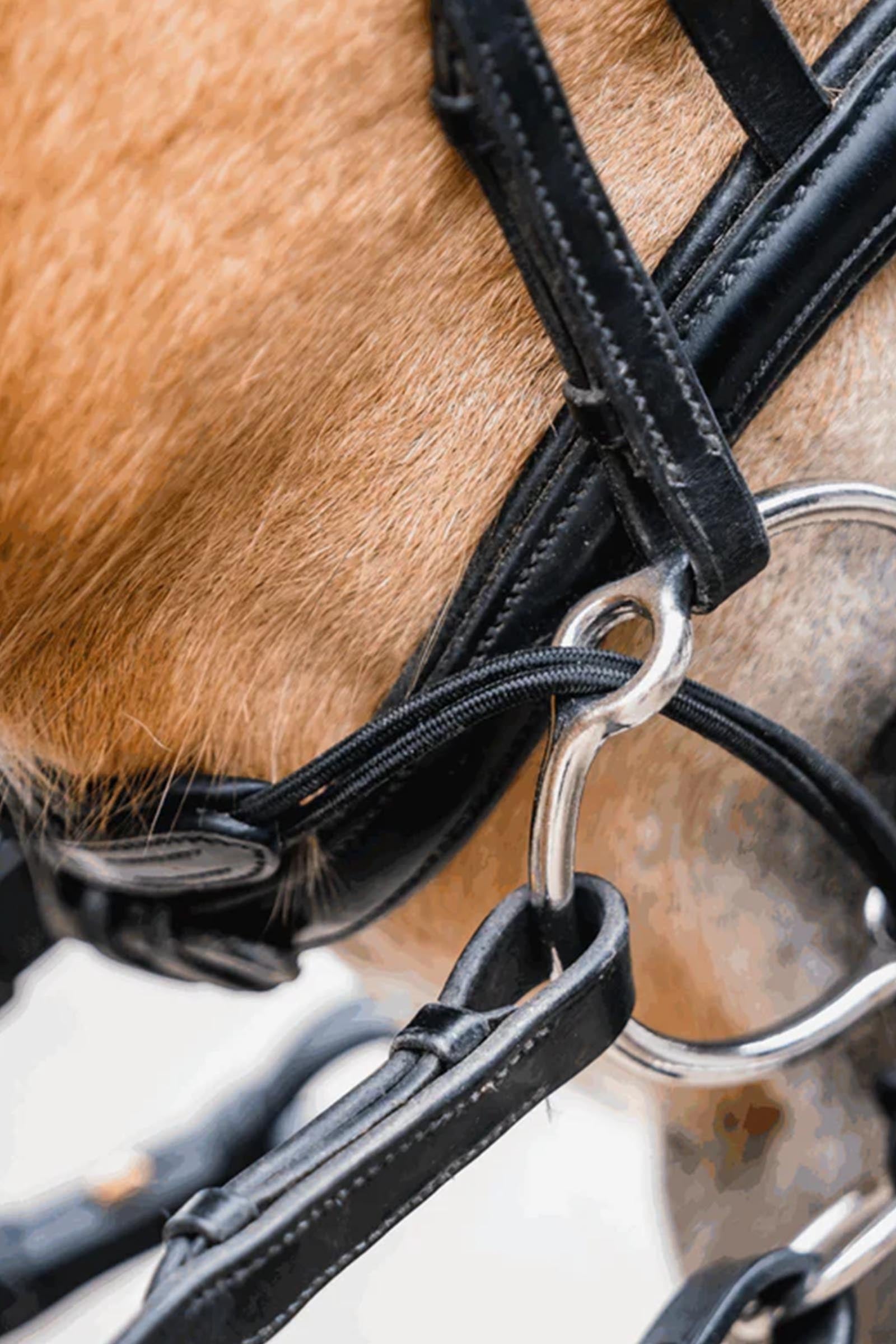 Sprenger Curbgag Rope, Leather Horse Bits