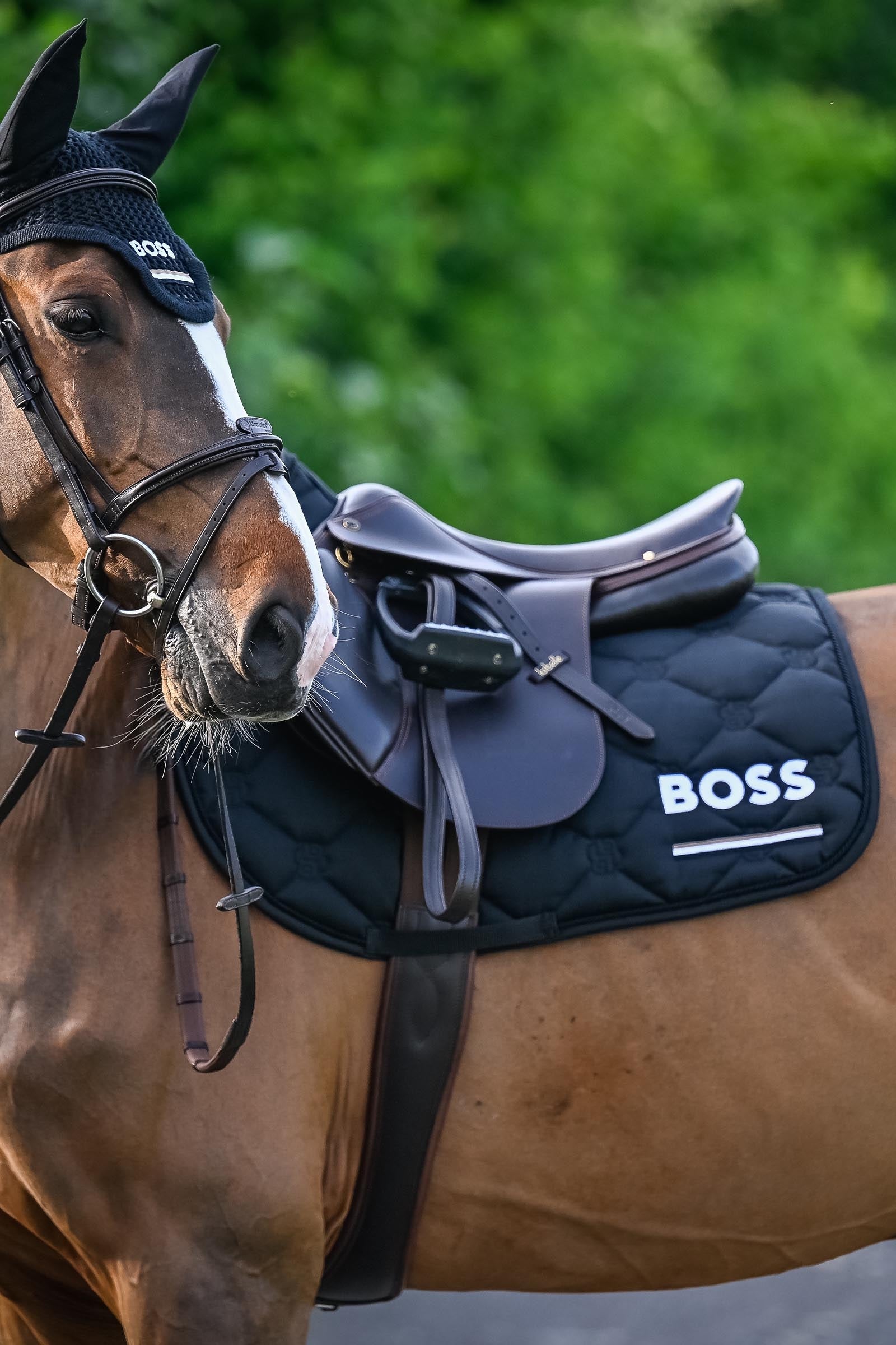 BOSS Equestrian Boss Cheltenham Jump Saddle Pad Saddle Pads