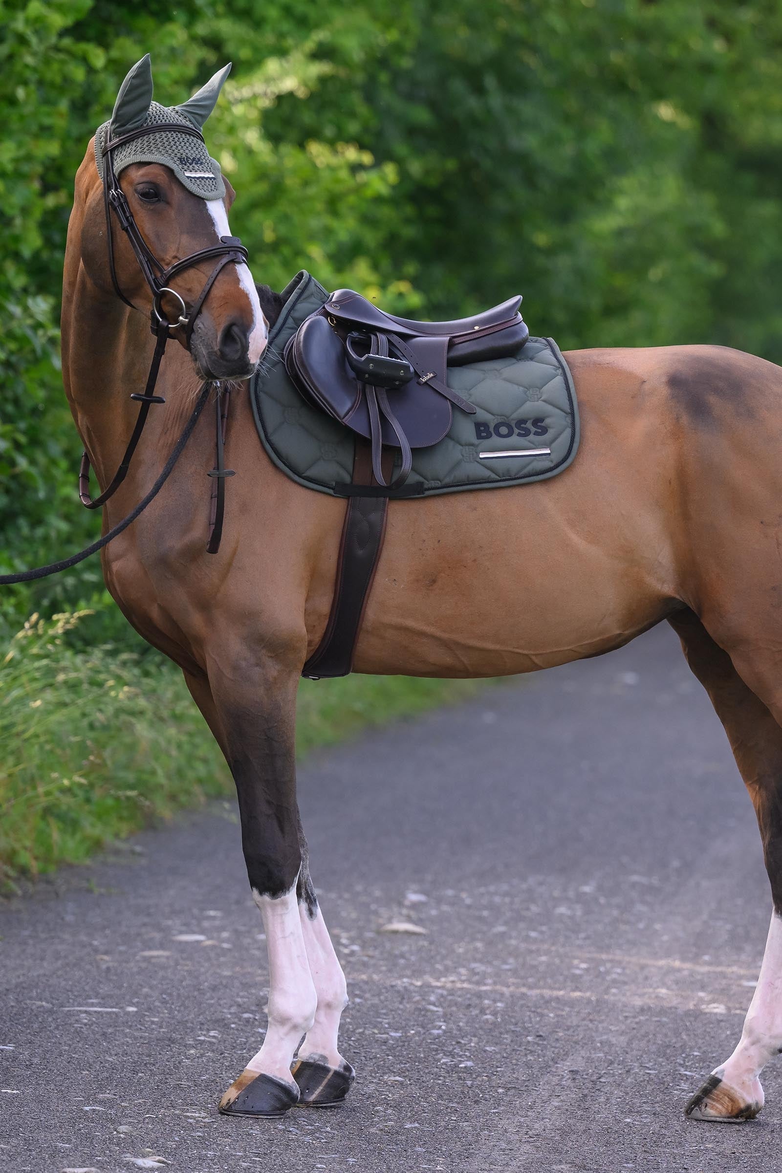 BOSS Equestrian Boss Cheltenham Jump Saddle Pad Saddle Pads