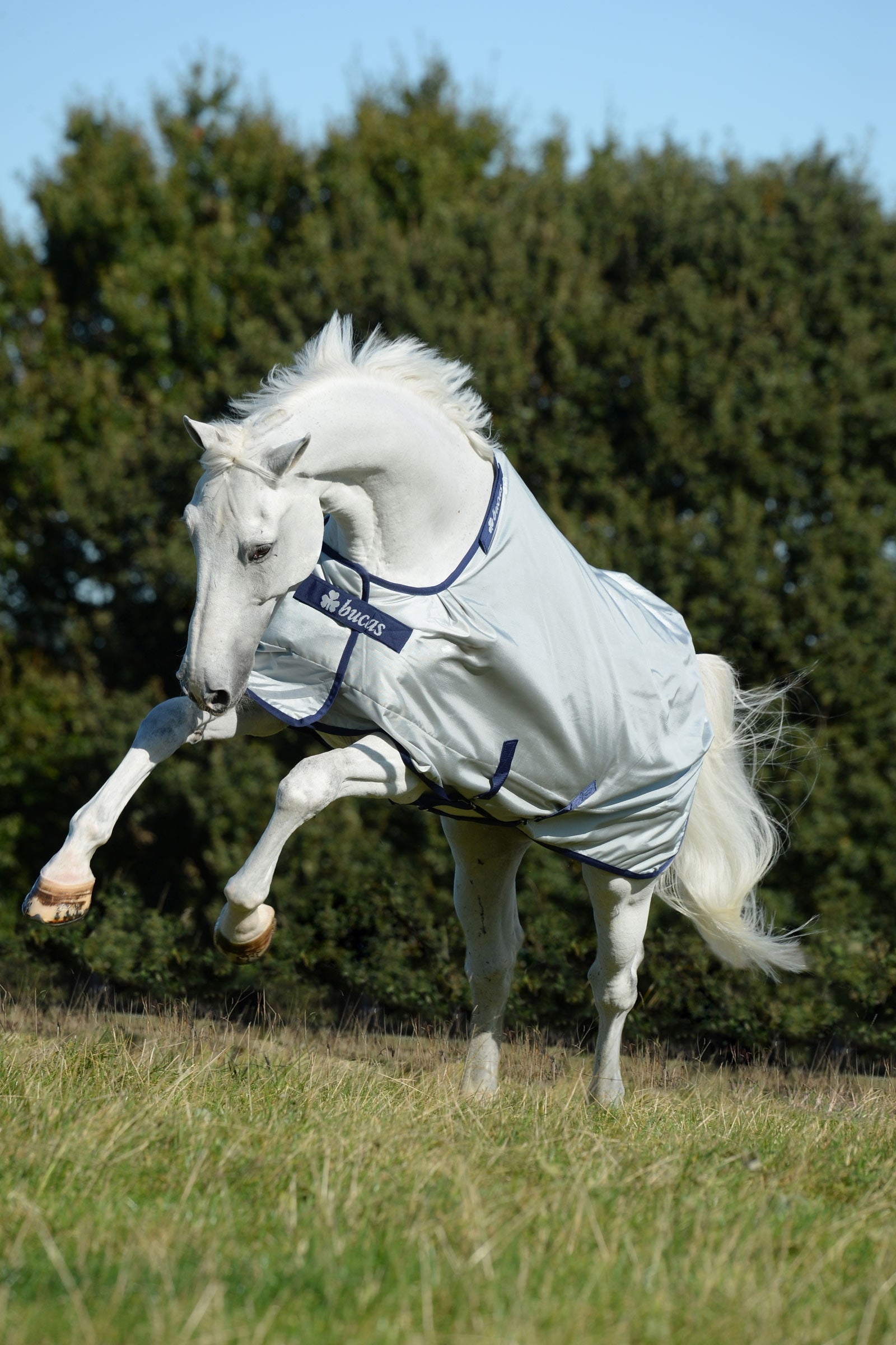 Bucas Power Turnout Light, 0g Horse Rugs