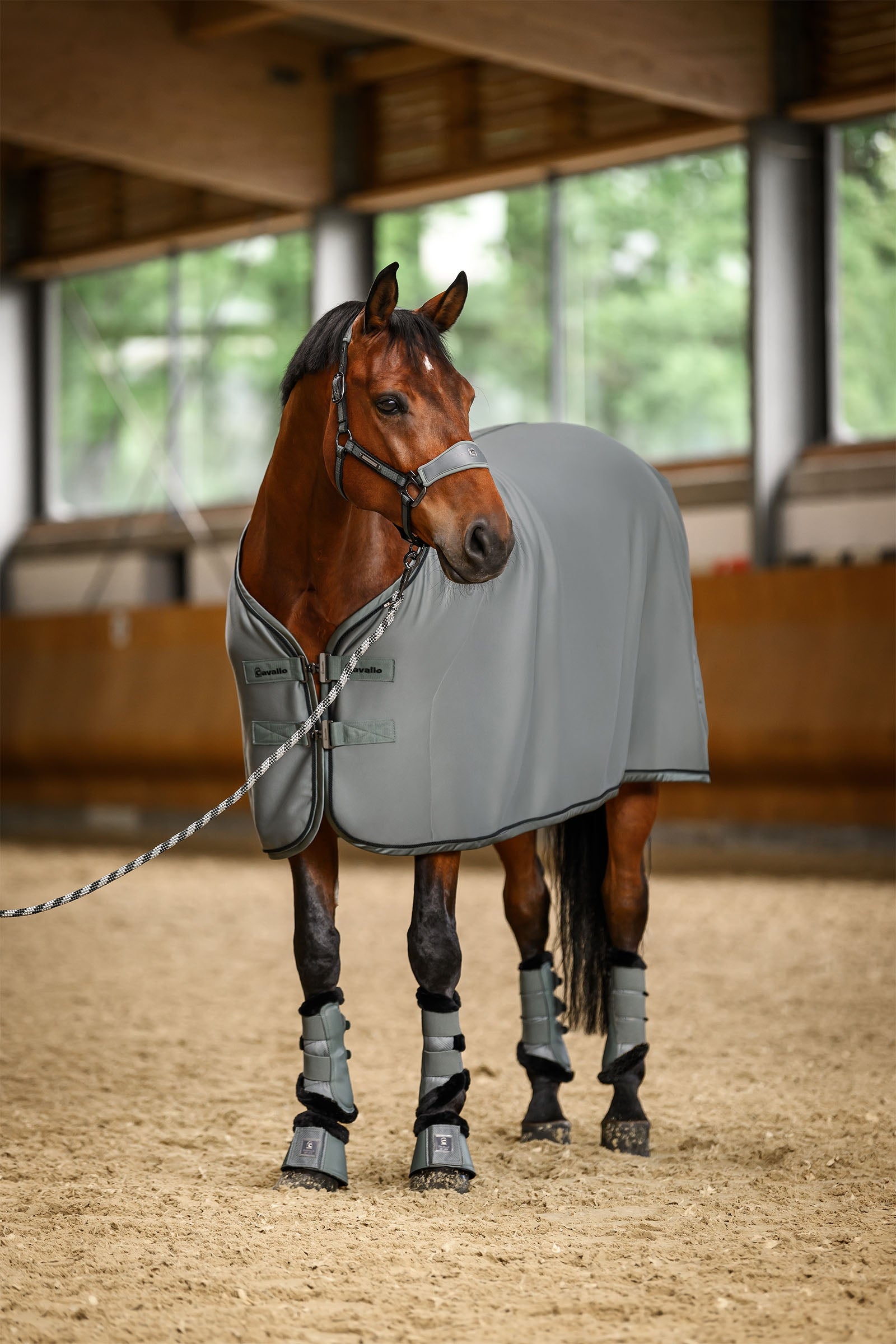 Cavallo CAVALSOFT Softshell Head Collar Halters & Leads