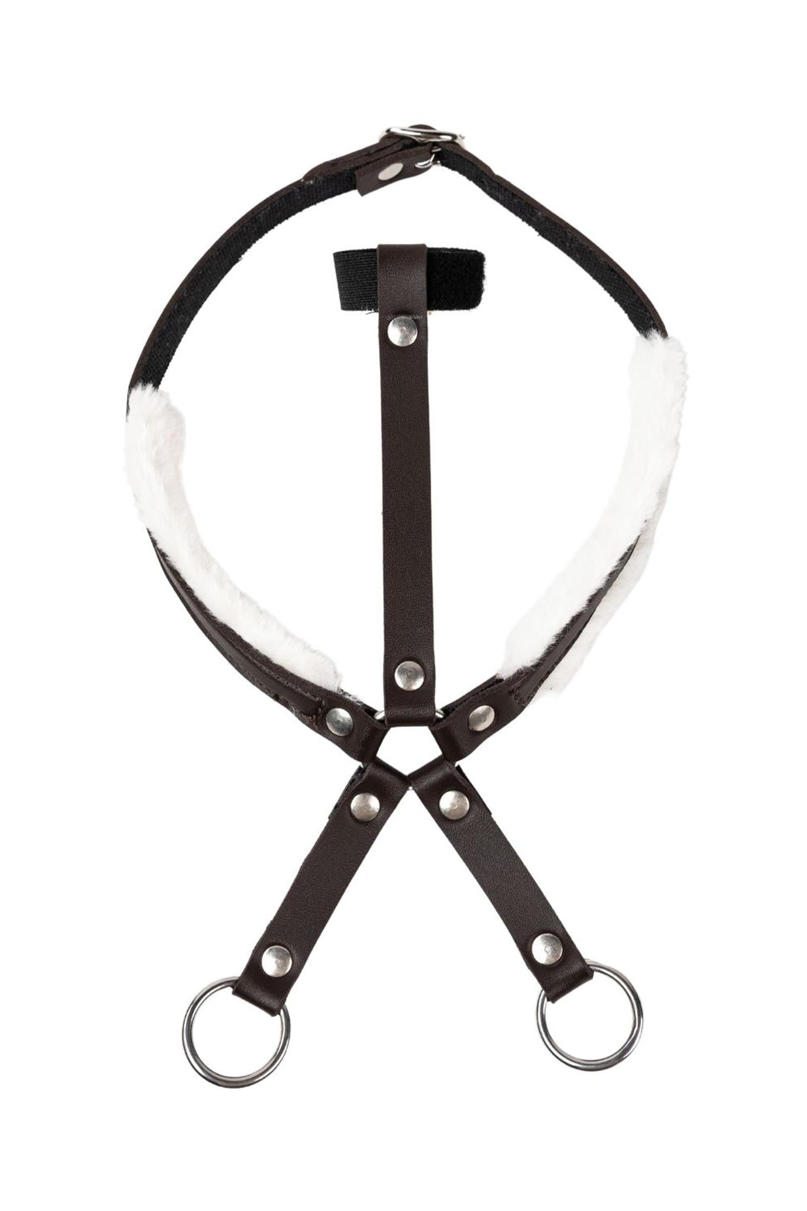 My Hobby Horse Martingal Gifts & Toys