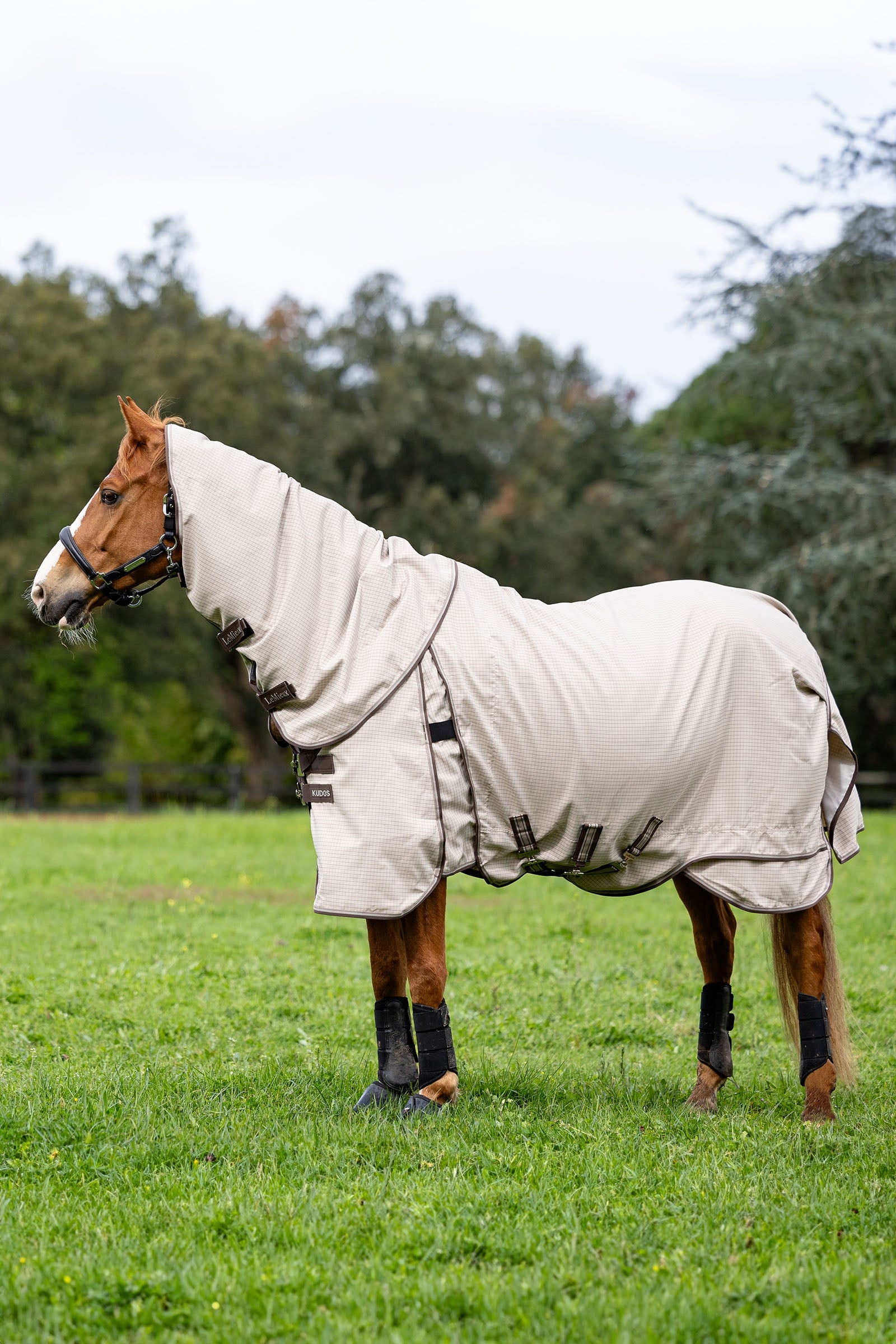 LeMieux Kudos legelő takaró Lótakarók