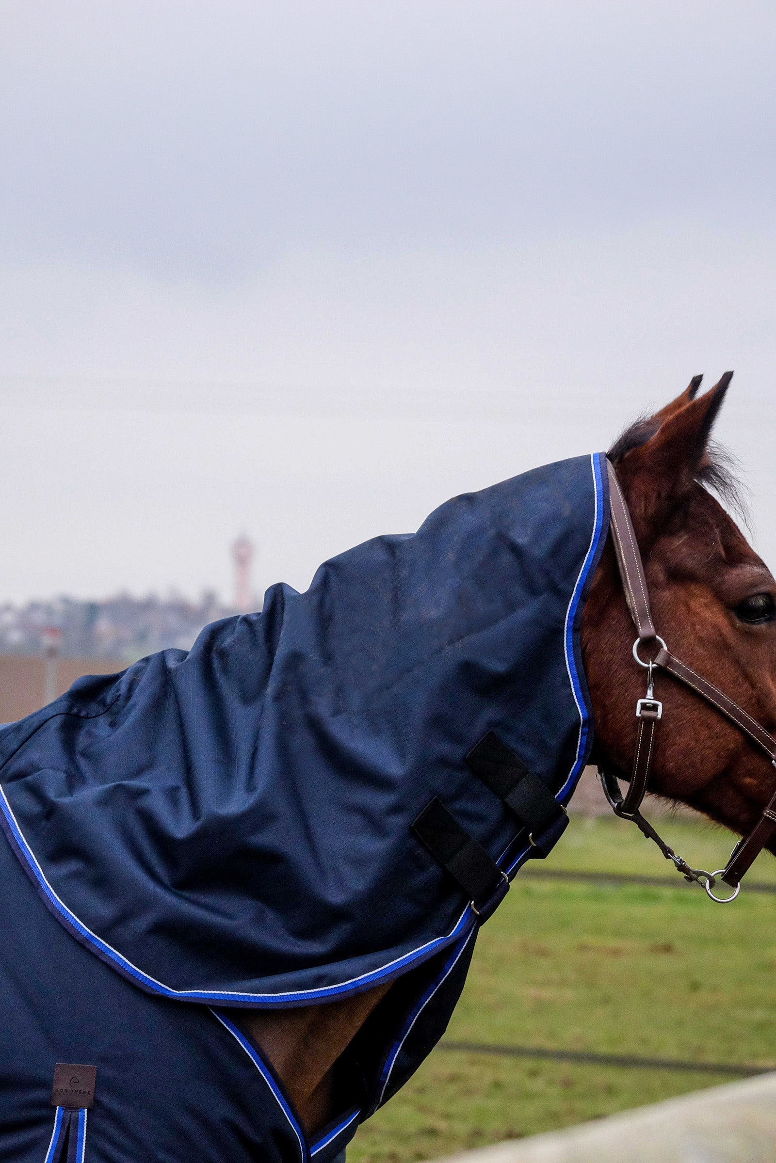 EQUITHÈME Classic 1200D nyakvédő, 0 g Lótakarók
