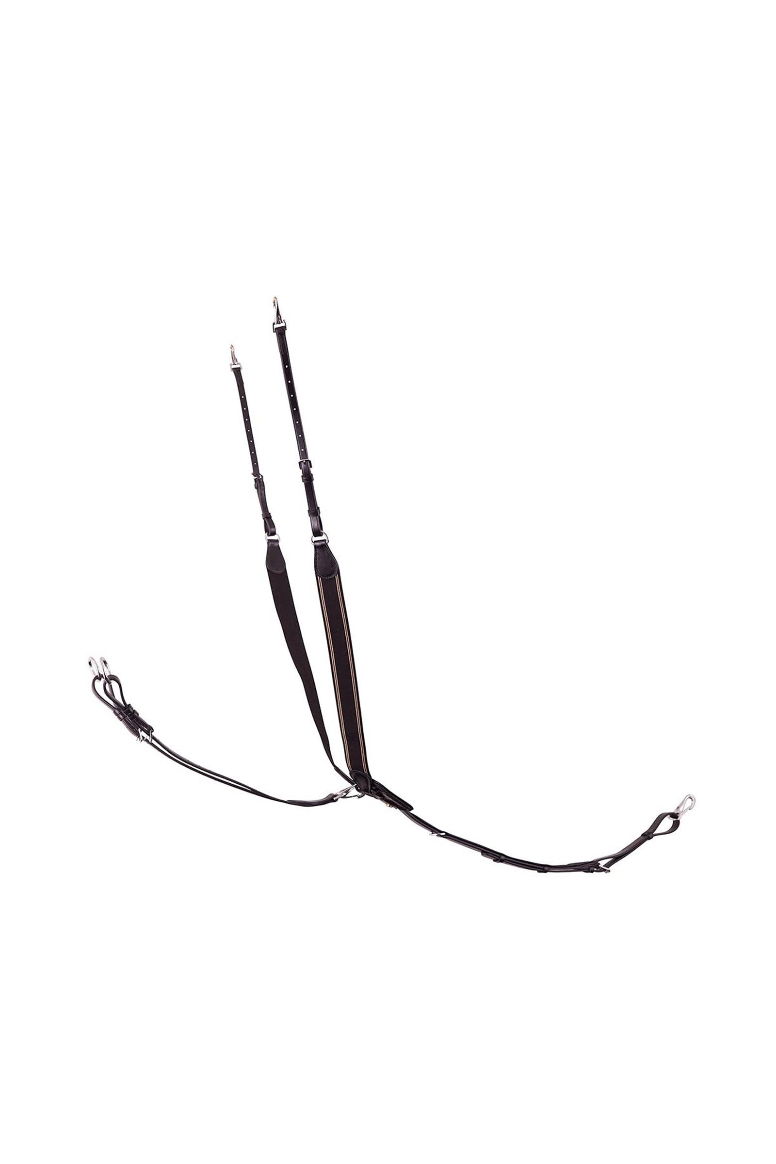 BR Taunton rugalmas szügyelő levehető martingállal Kantárok & Szárak