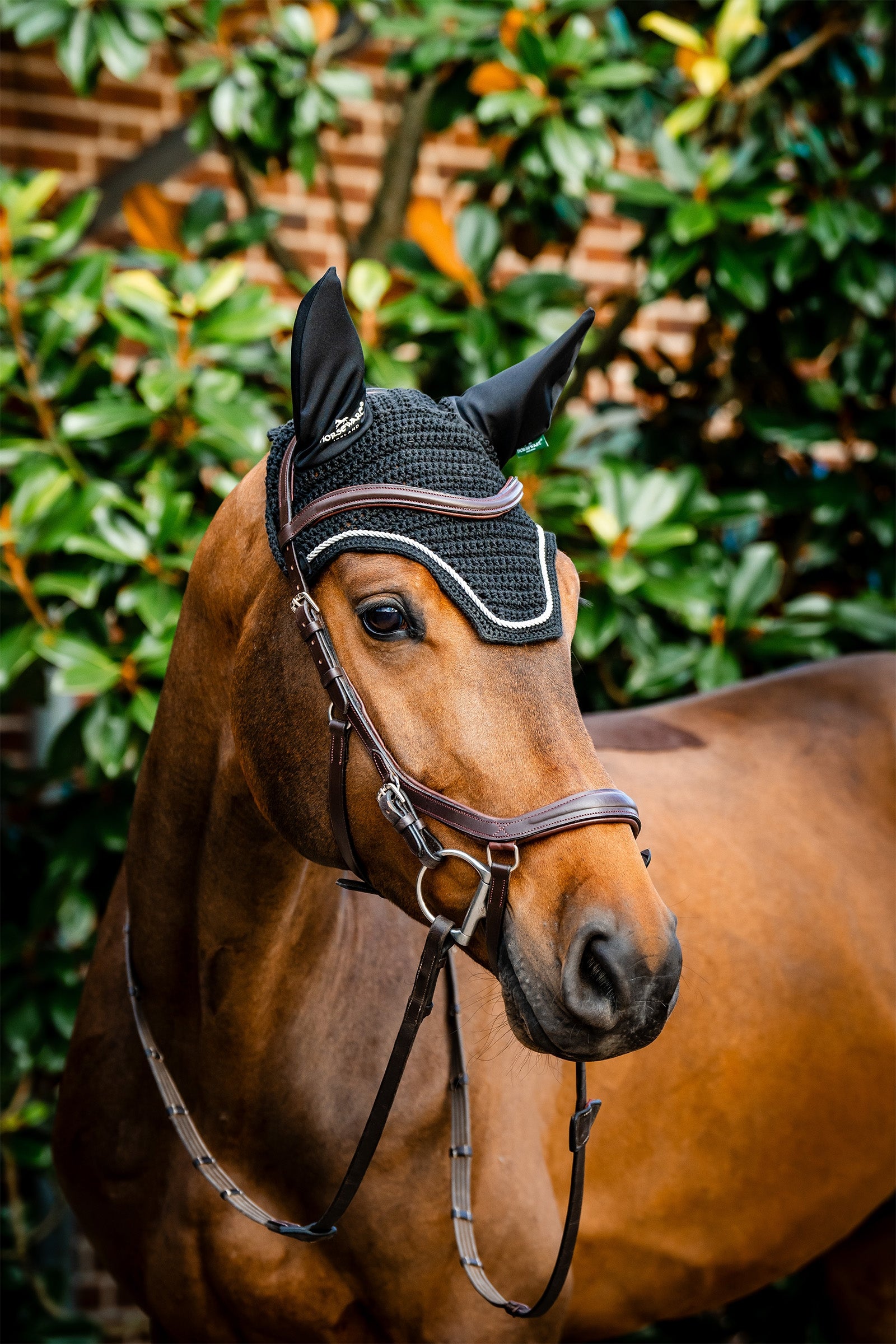Horseware Signature repülőkabát Nyeregalátétek
