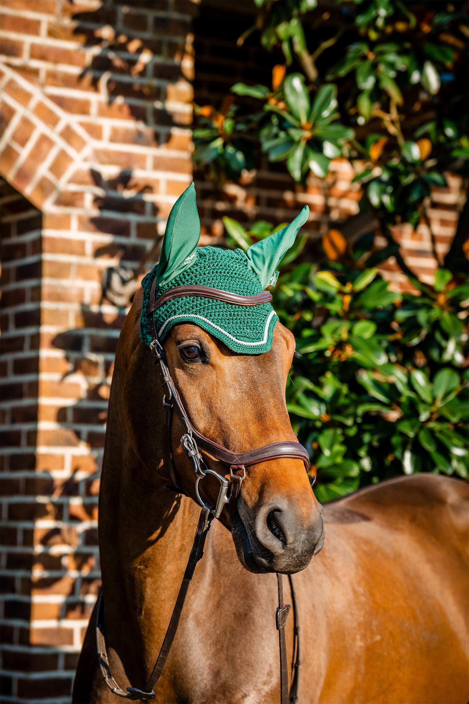 Horseware Signature repülőkabát Nyeregalátétek