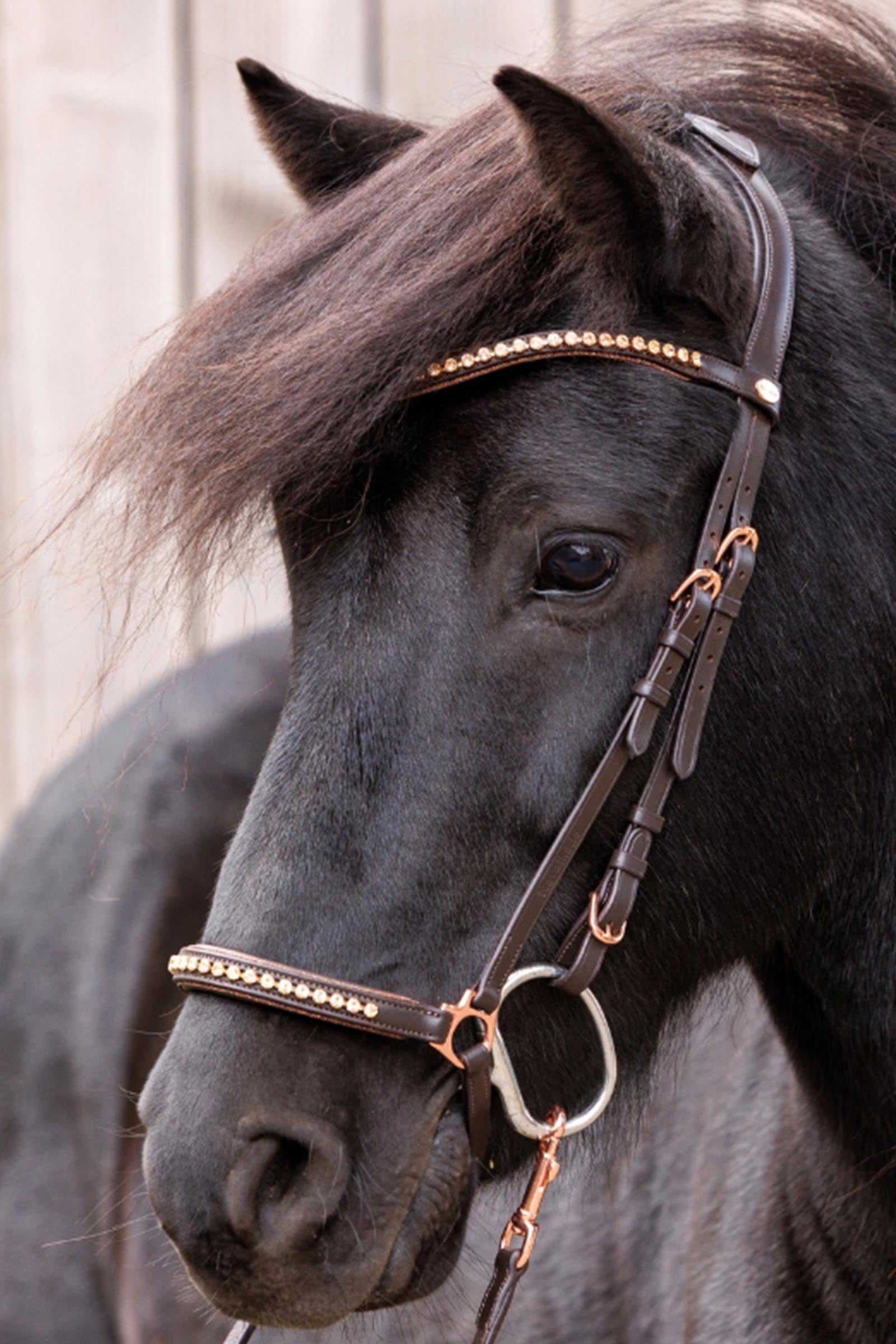 Kavalkade Freya Icelandic Bridle Bridles & Reins
