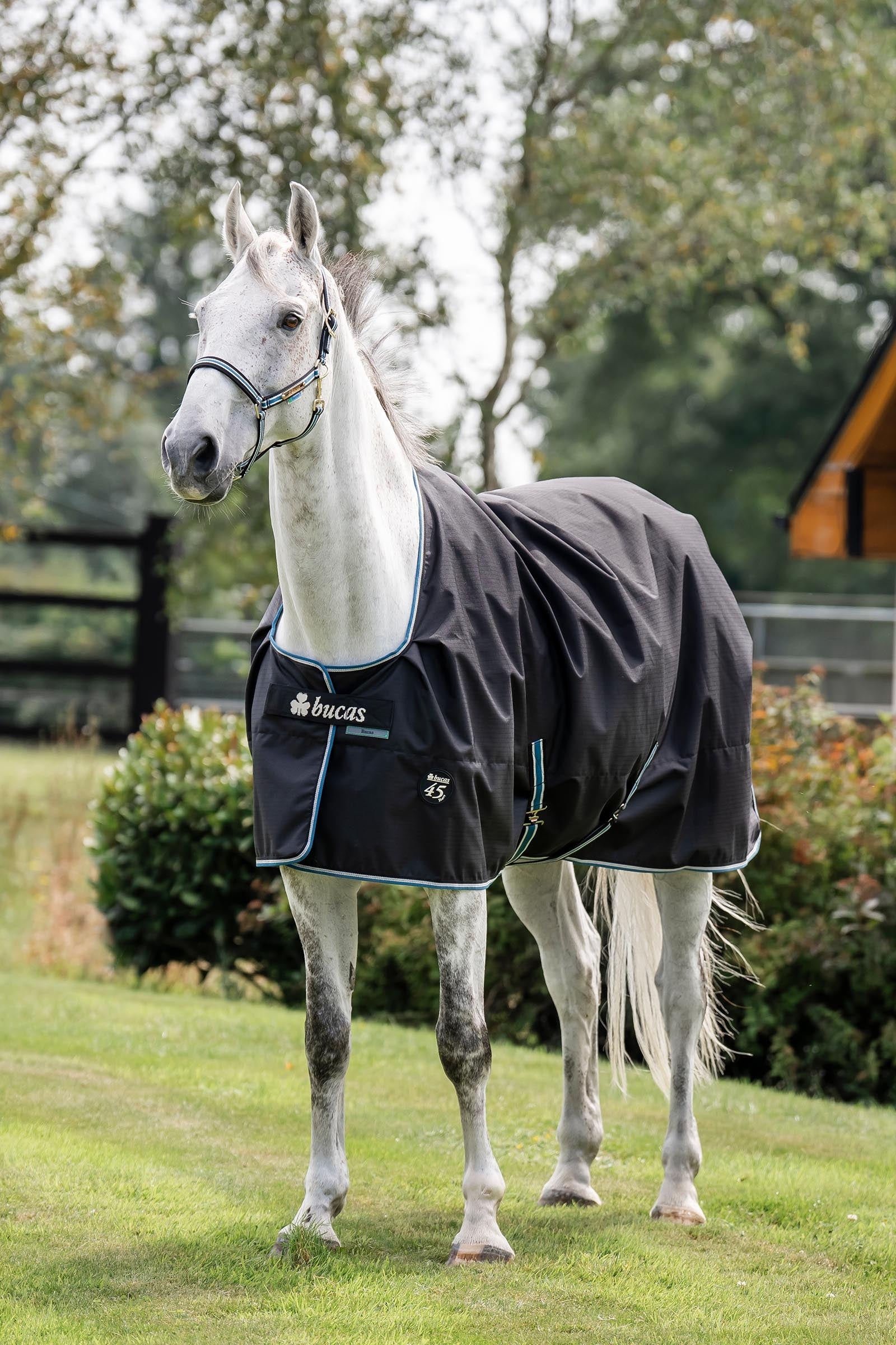 Bucas Anniversary SF Light Rain Turnout Rug, 50g Horse Rugs