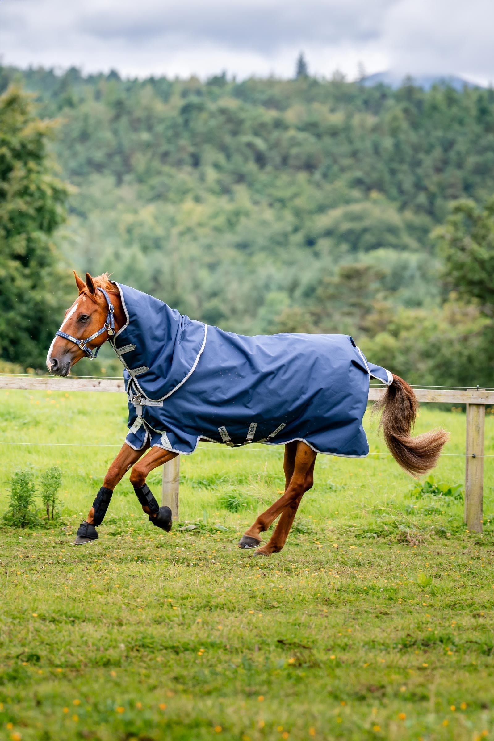 Horseware Amigo Bravo 12 Plus kültéri takaró levehető nyakrésszel, 400g Lótakarók