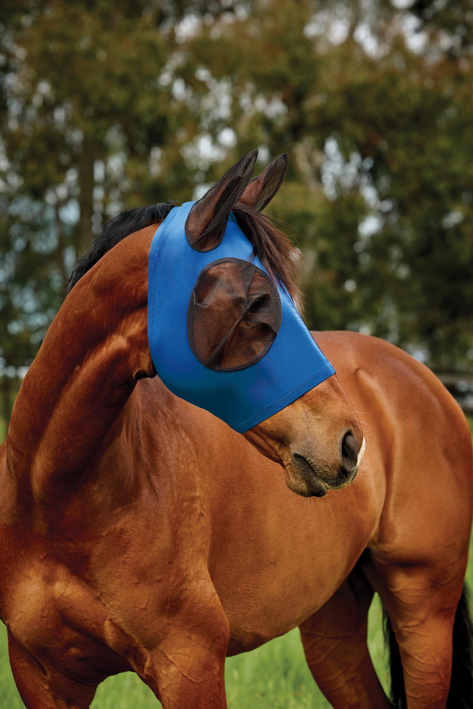 Weatherbeeta Comfitec Deluxe Stretch Fly Mask With Ears Antifly Protection for Horses