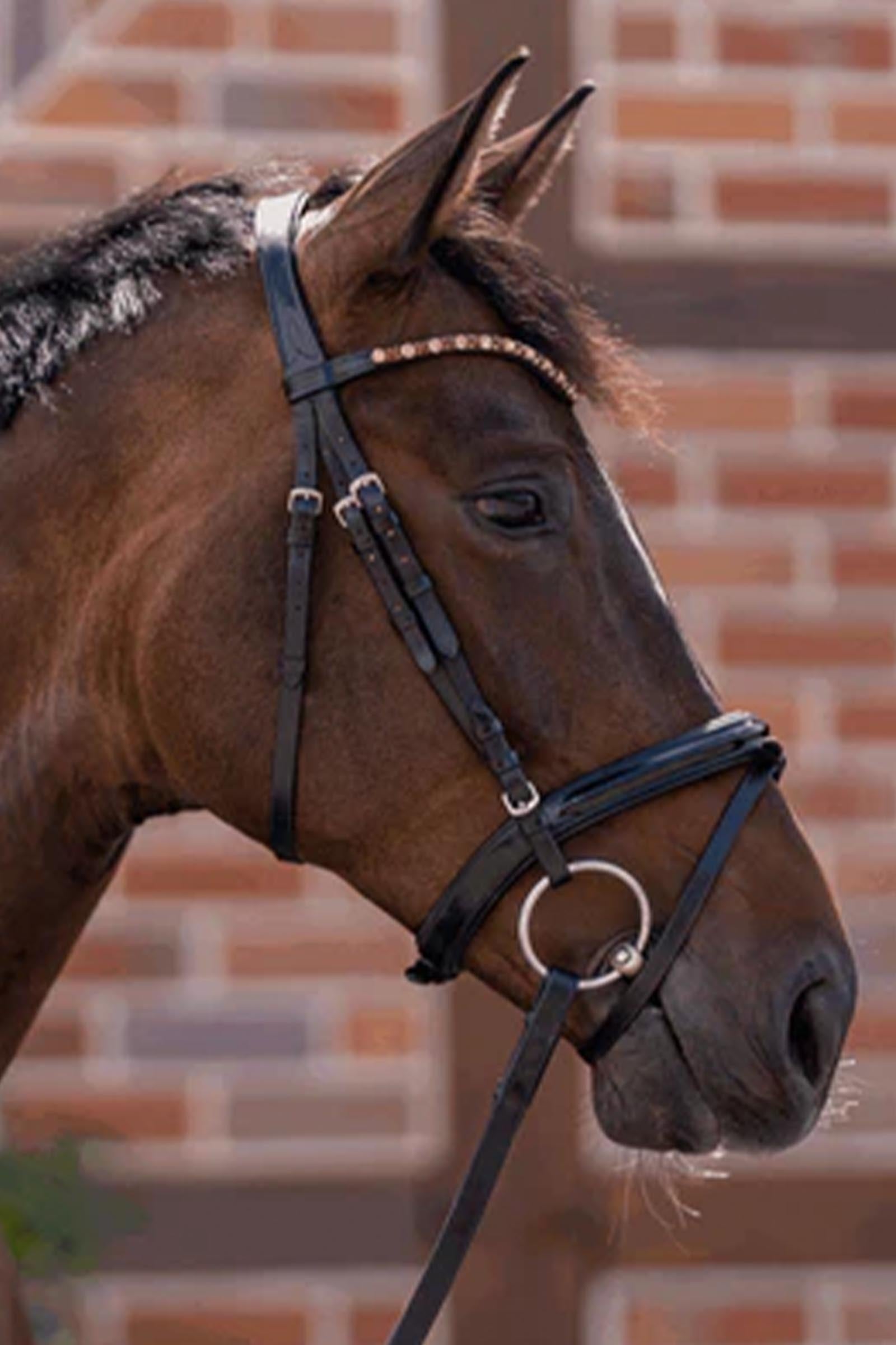 Sprenger Novocontact Loose Ring Snaffle, Double Jt. 14mm, Sensogan Horse Bits