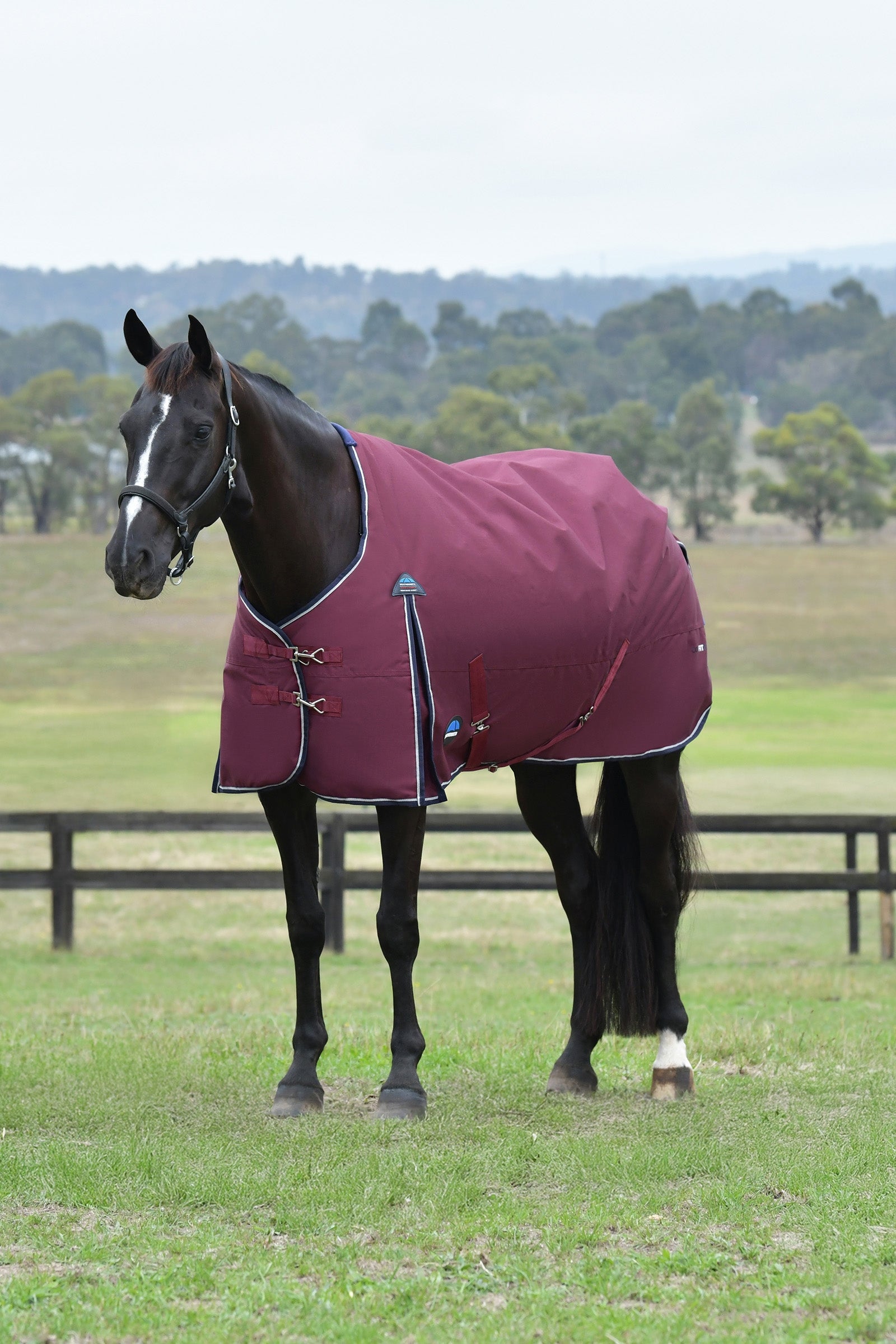 Weatherbeeta ComFiTec Essential Turnout Standard Neck 50G Lótakarók