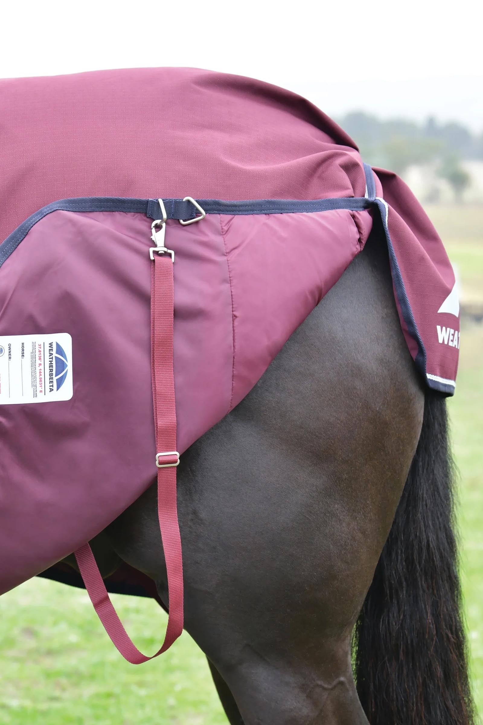 Weatherbeeta ComFiTec Essential Turnout Standard Neck 50G Horse Rugs