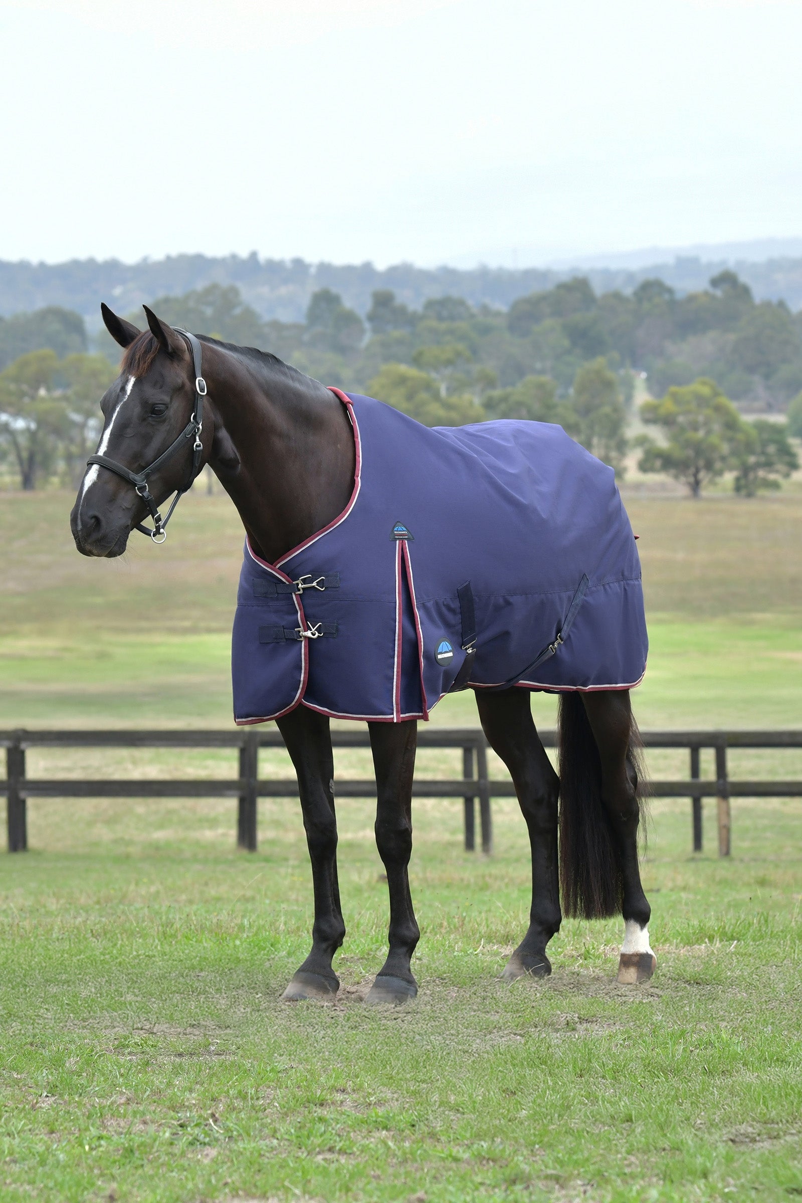 Weatherbeeta ComFiTec Essential Turnout Standard Neck 50G Lótakarók