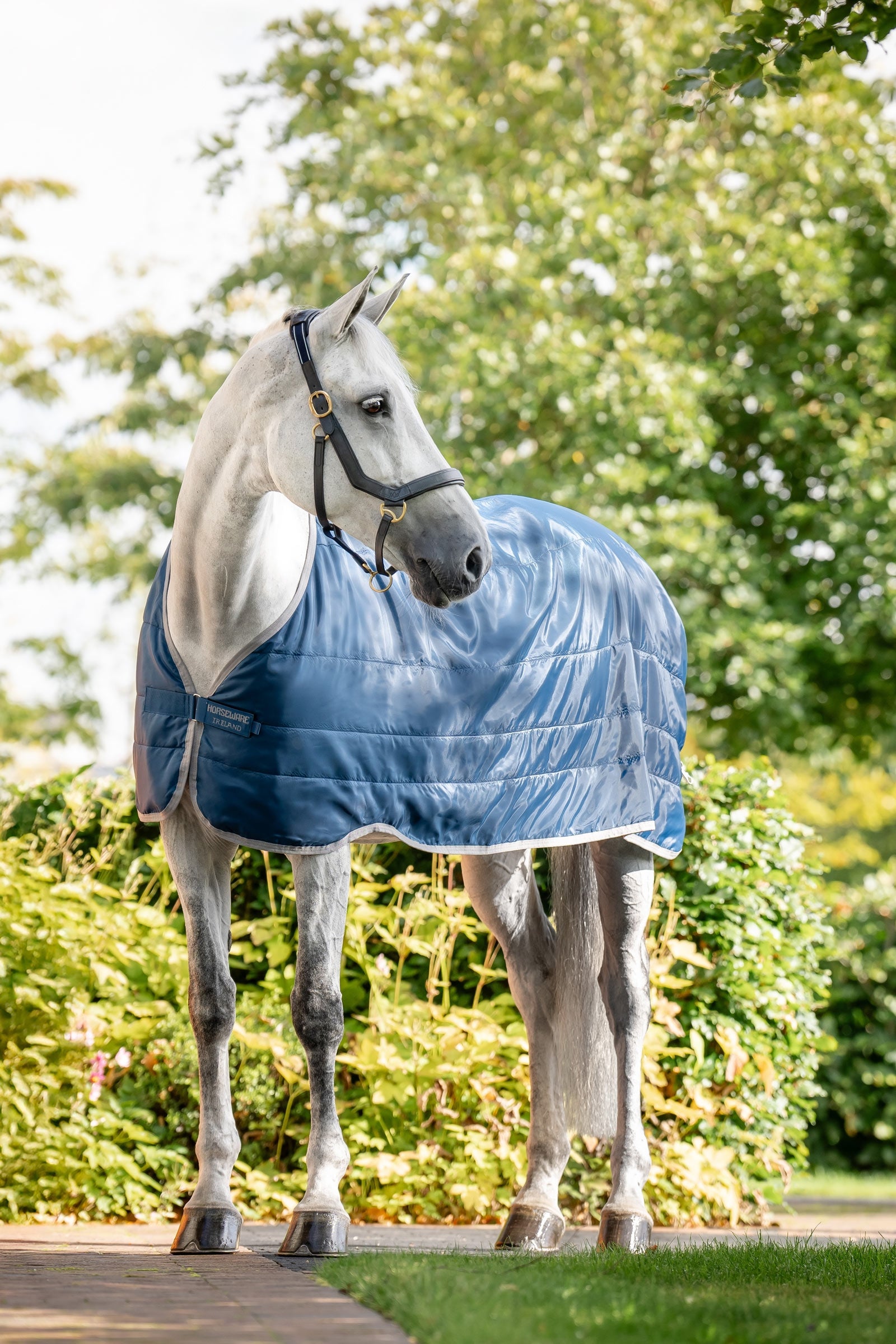 Horseware Ionic Therapy bélés 200 g Lótakarók