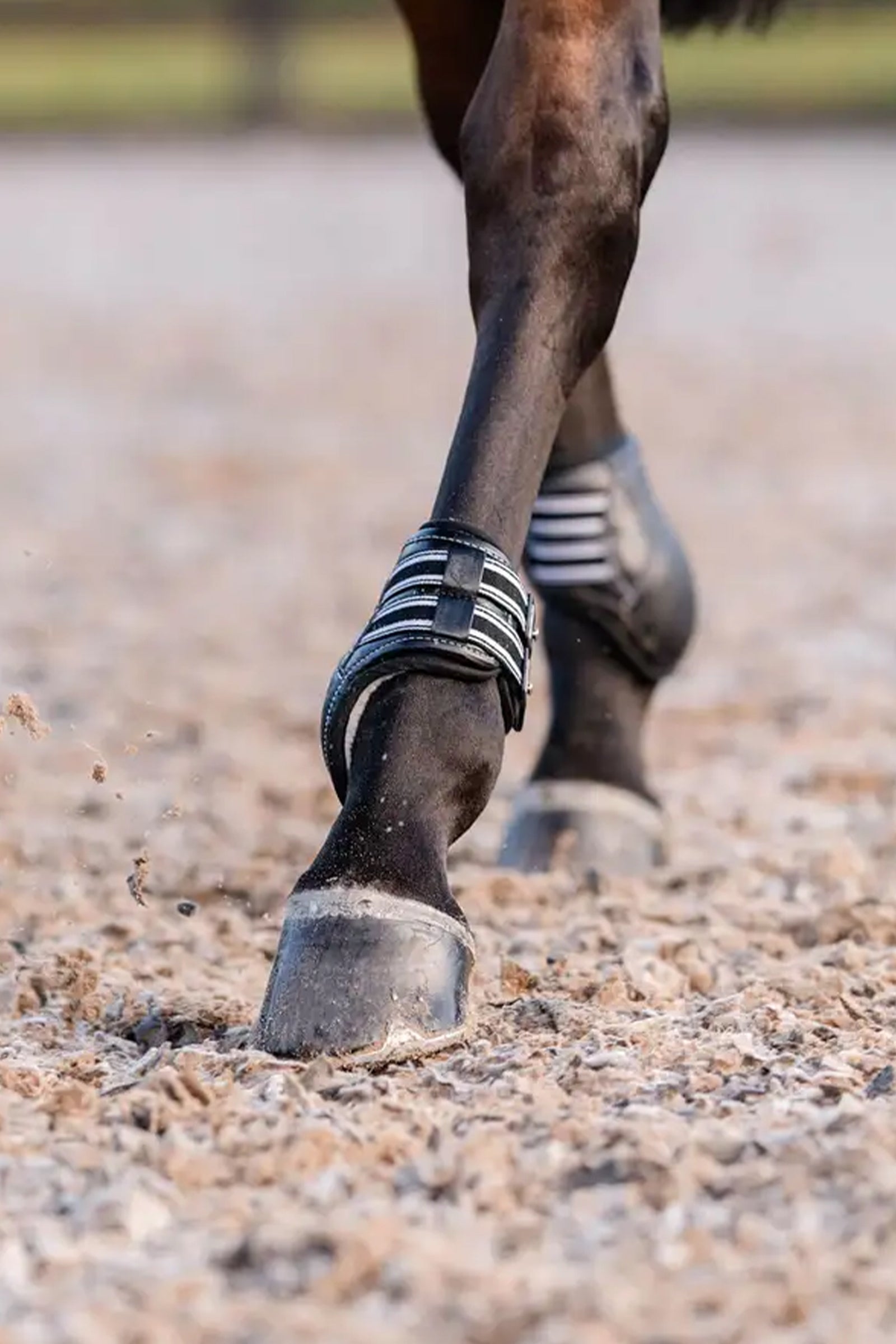 Lifestyle shot 2