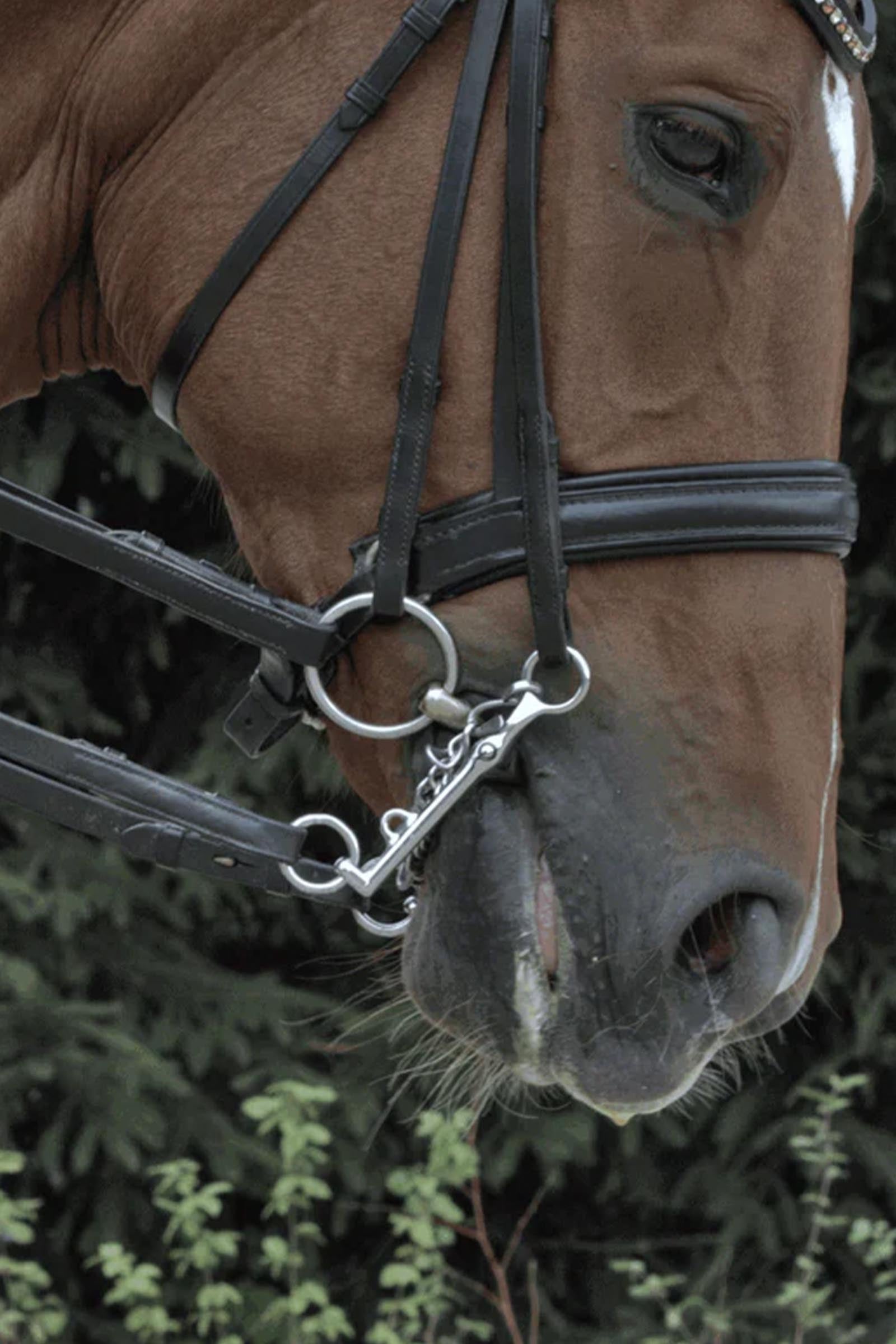 Sprenger KK Pony Loose Ring Snaffle Bit, Single Jt. 12 mm, Sensogan Horse Bits
