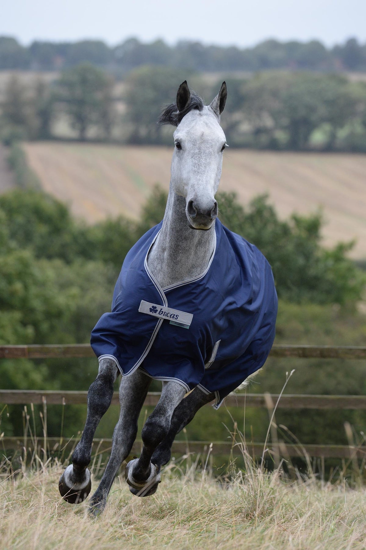 Bucas Freedom Turnout 50g Horse Rugs