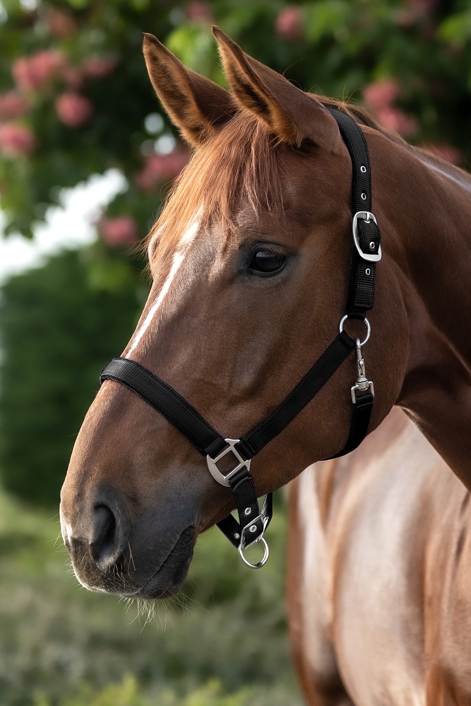 Lifestyle shot 1