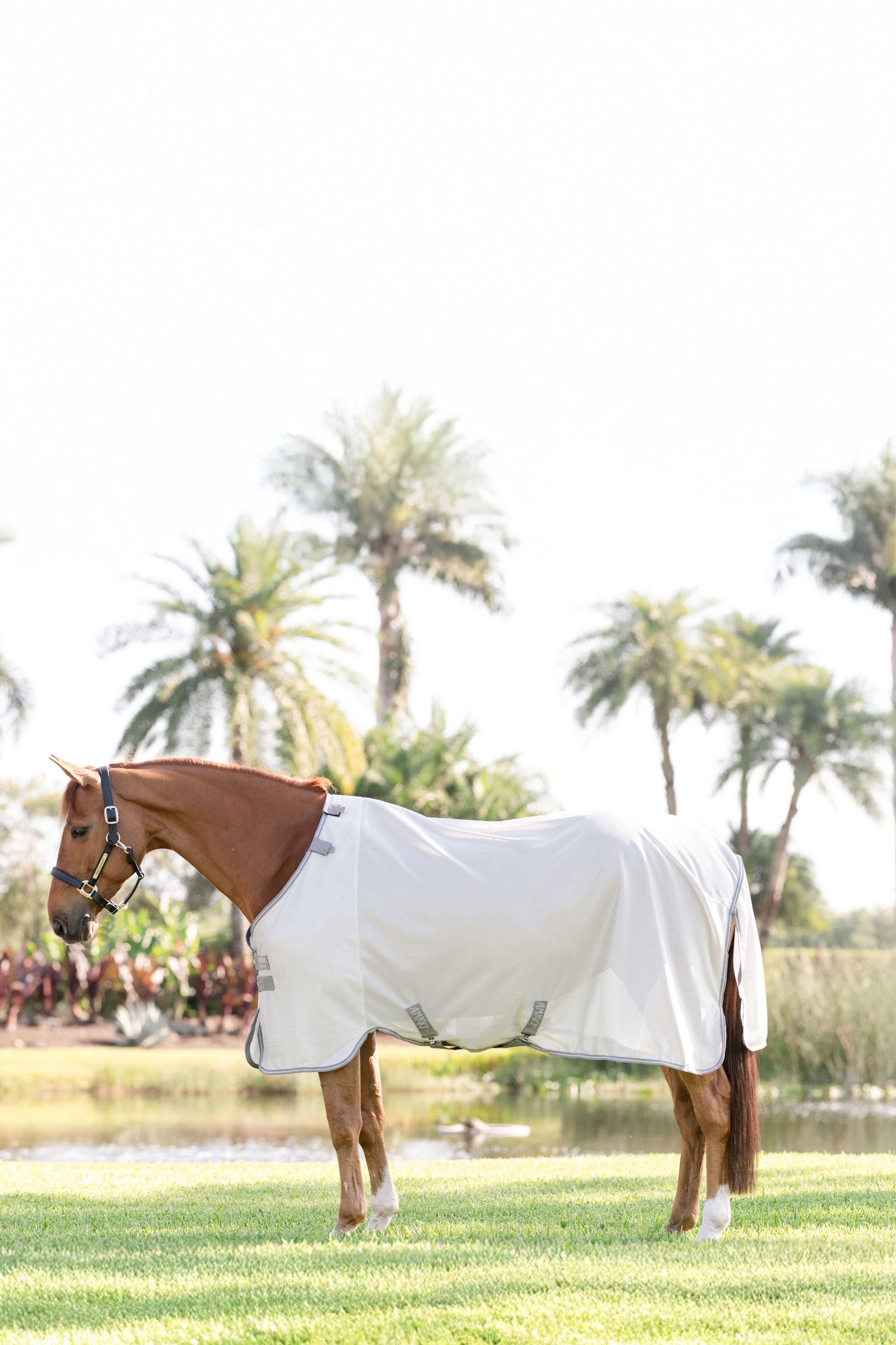 Horseware Amigo légyvédő takaró UV-védelemmel Lótakarók