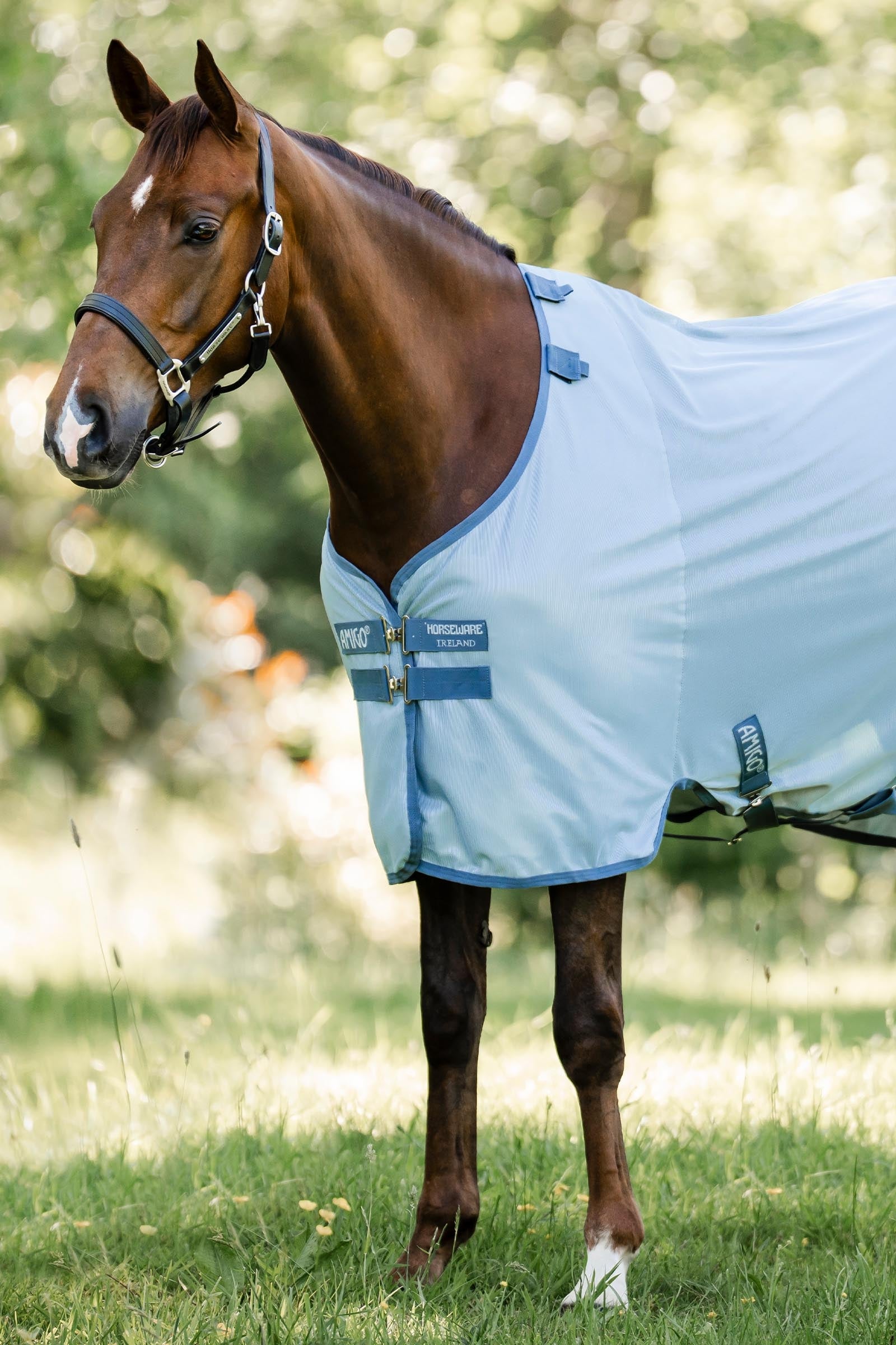 Horseware Amigo légyvédő takaró UV-védelemmel Lótakarók