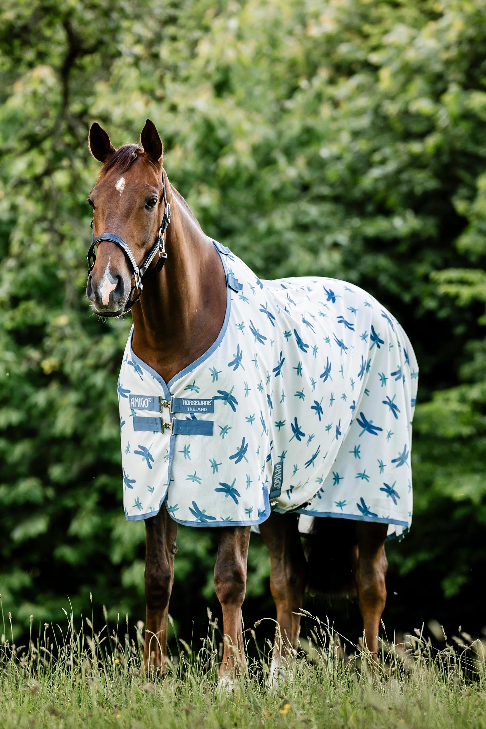 Horseware Amigo légyvédő takaró UV-védelemmel Lótakarók