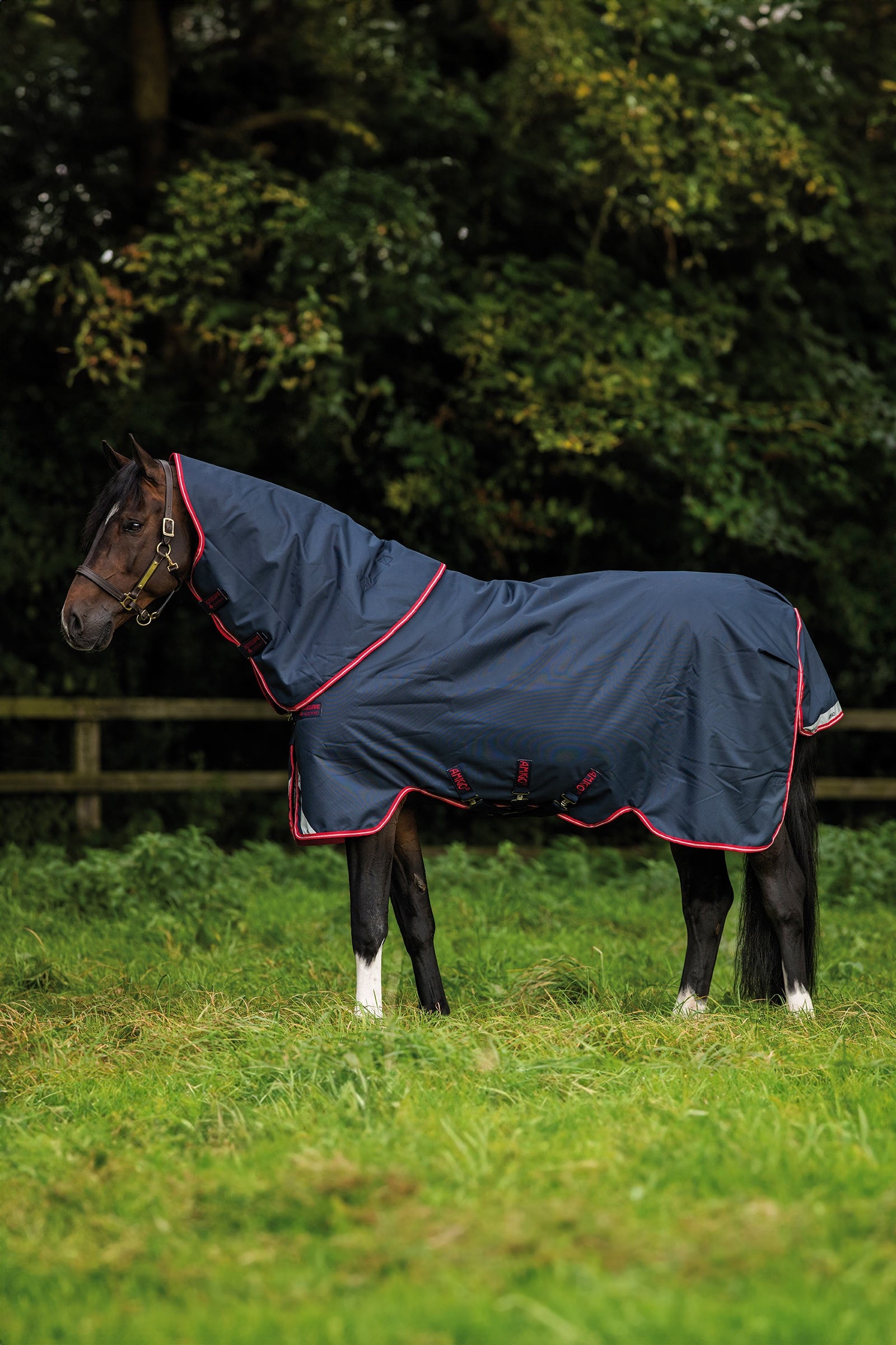 Horseware Amigo Bravo 12 Plus kültéri takaró, 250 g Lótakarók