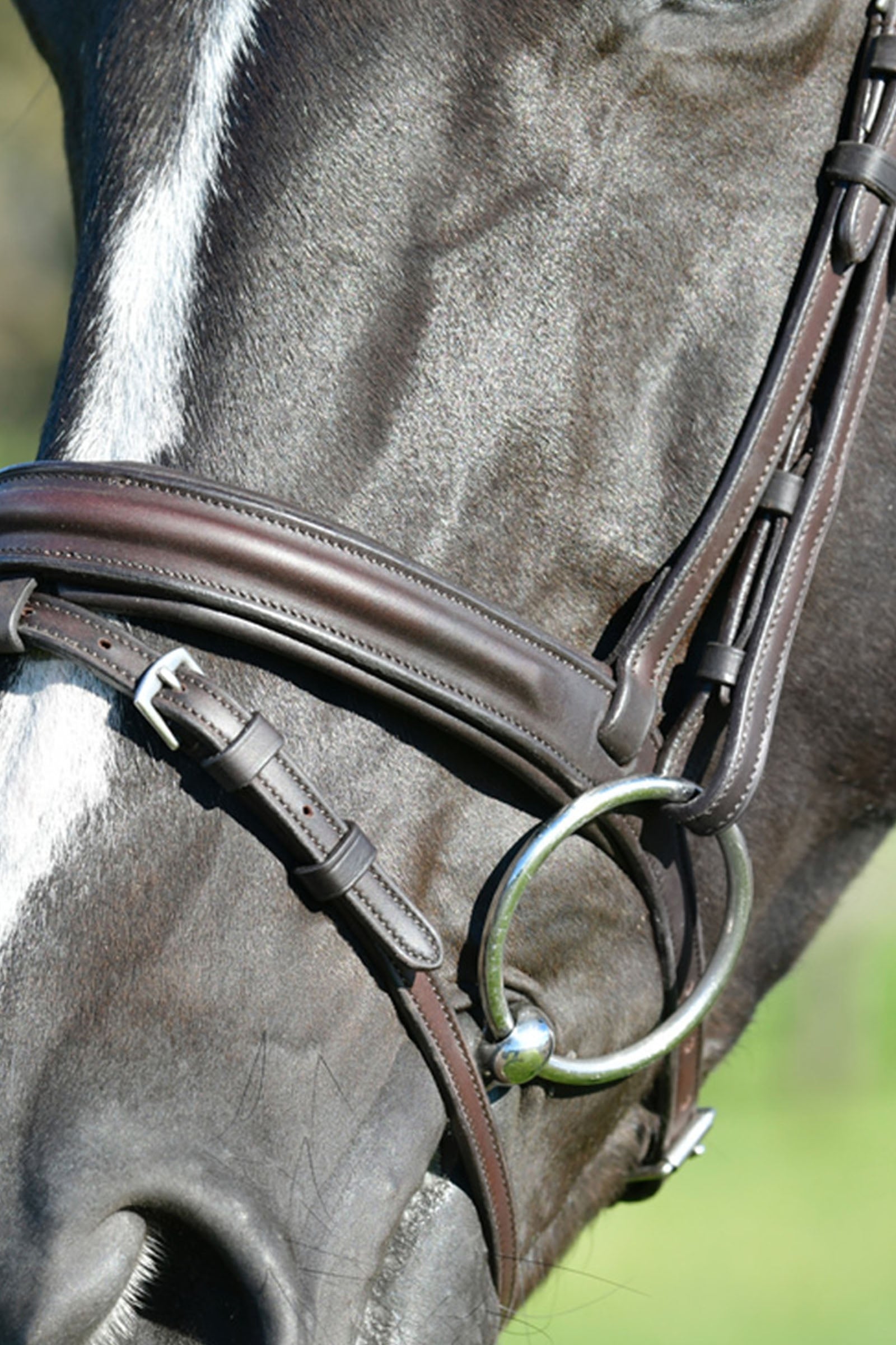 Collegiate Comfitec Opulux Plain Padded Hanoverian Flash Bridle Bridles & Reins