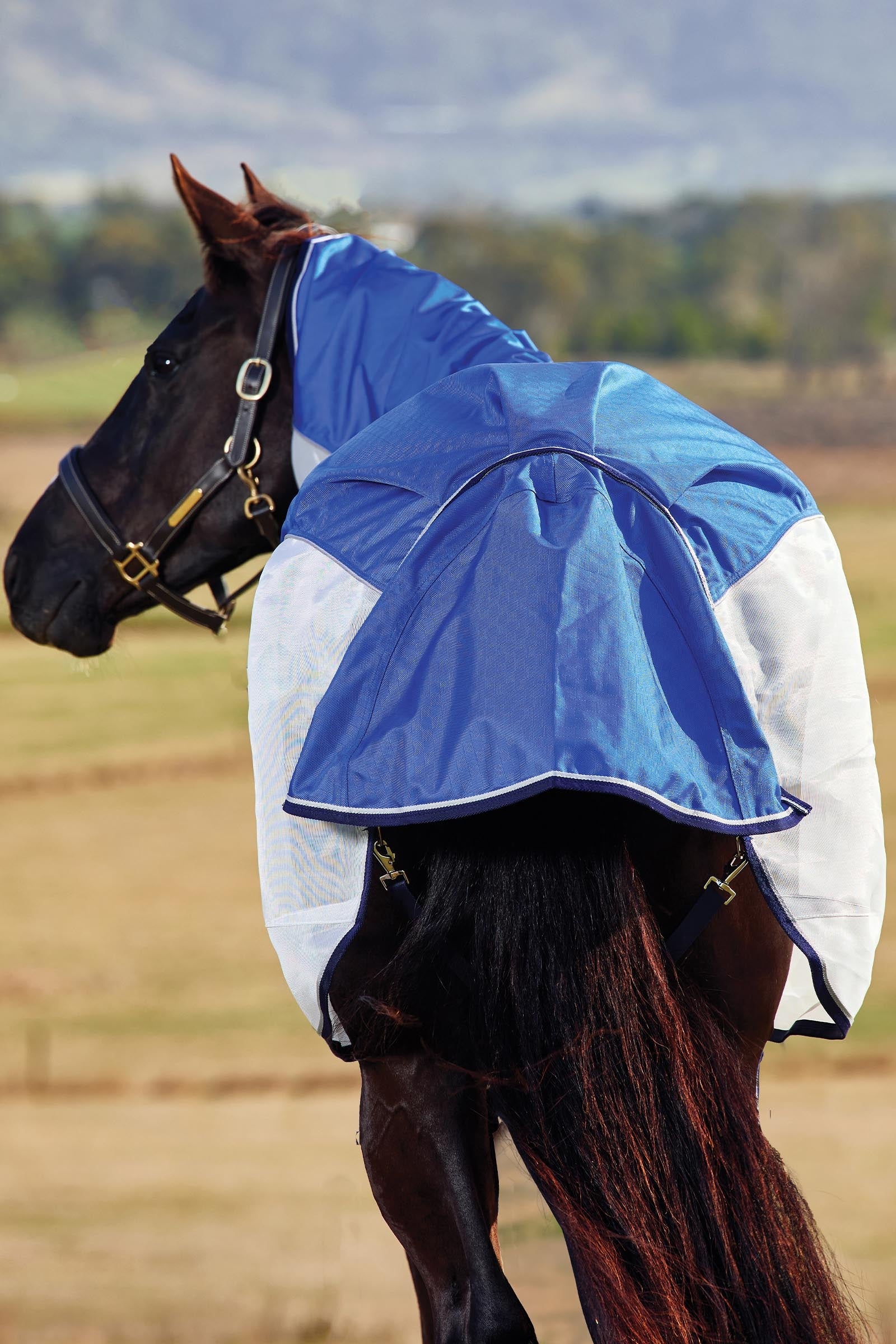 Weatherbeeta Comfitec Duo Shield Detach-a-Neck, 0g Horse Rugs