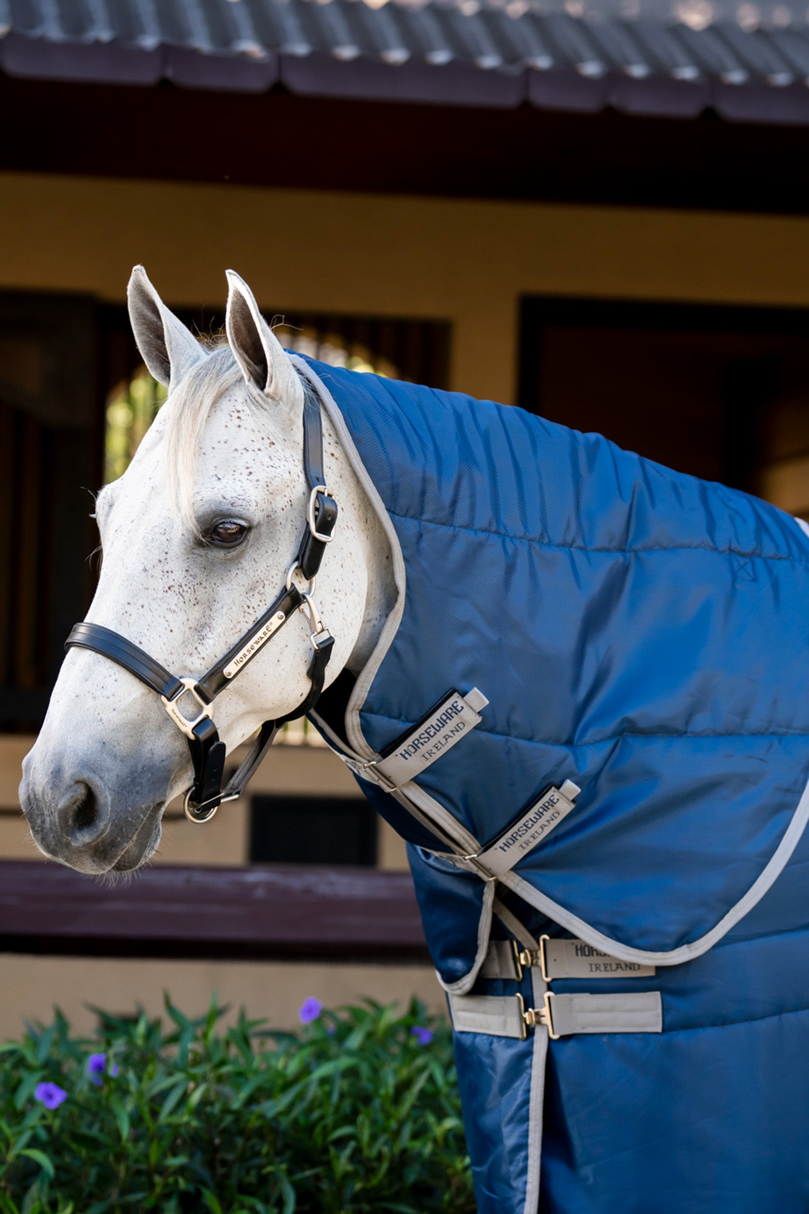 Horseware Amigo Ripstop Insulator Stable Hood, 100 g Horse Rugs