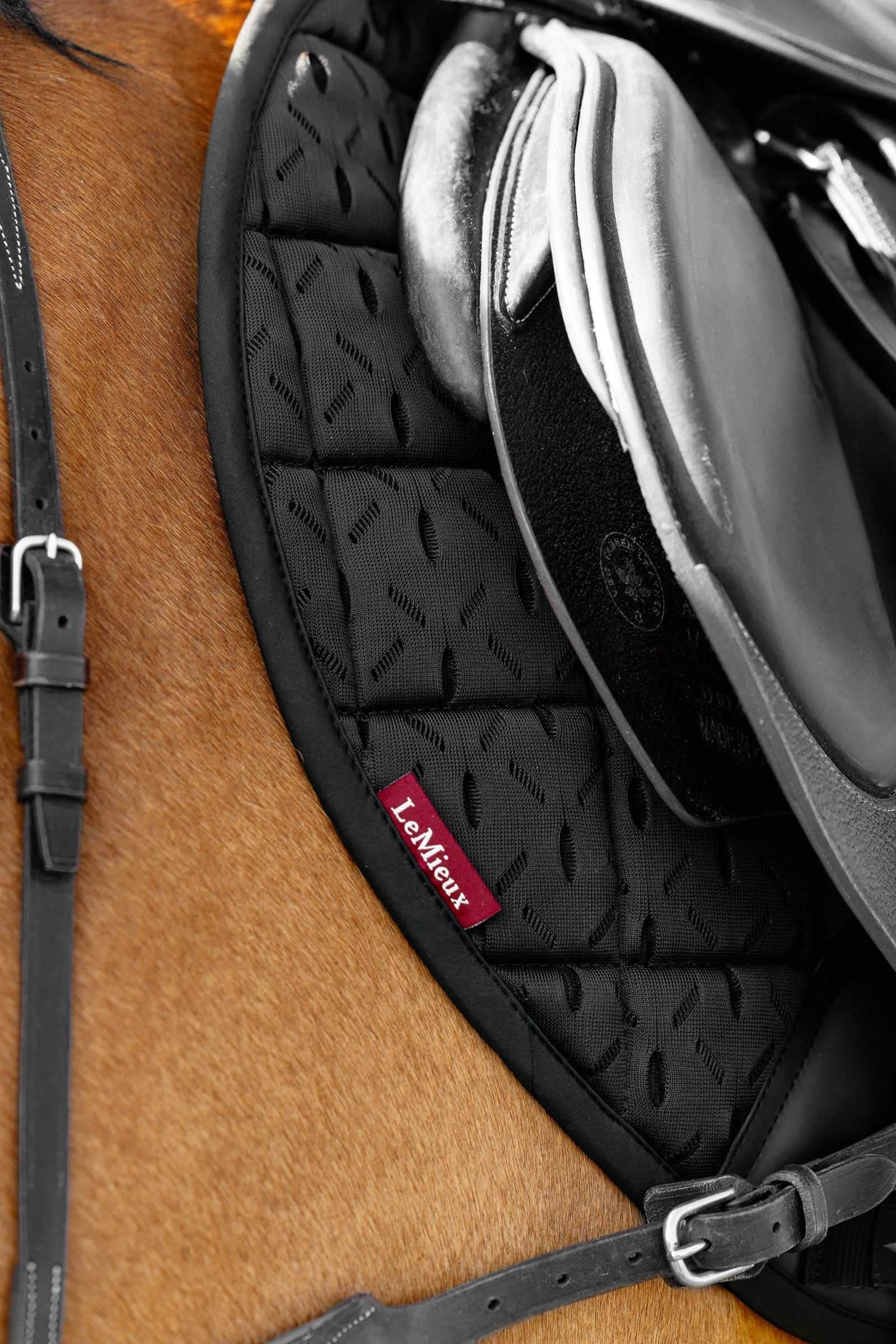 LeMieux 3D Mesh Self-Cool Eurojump Saddle Pad Saddle Pads