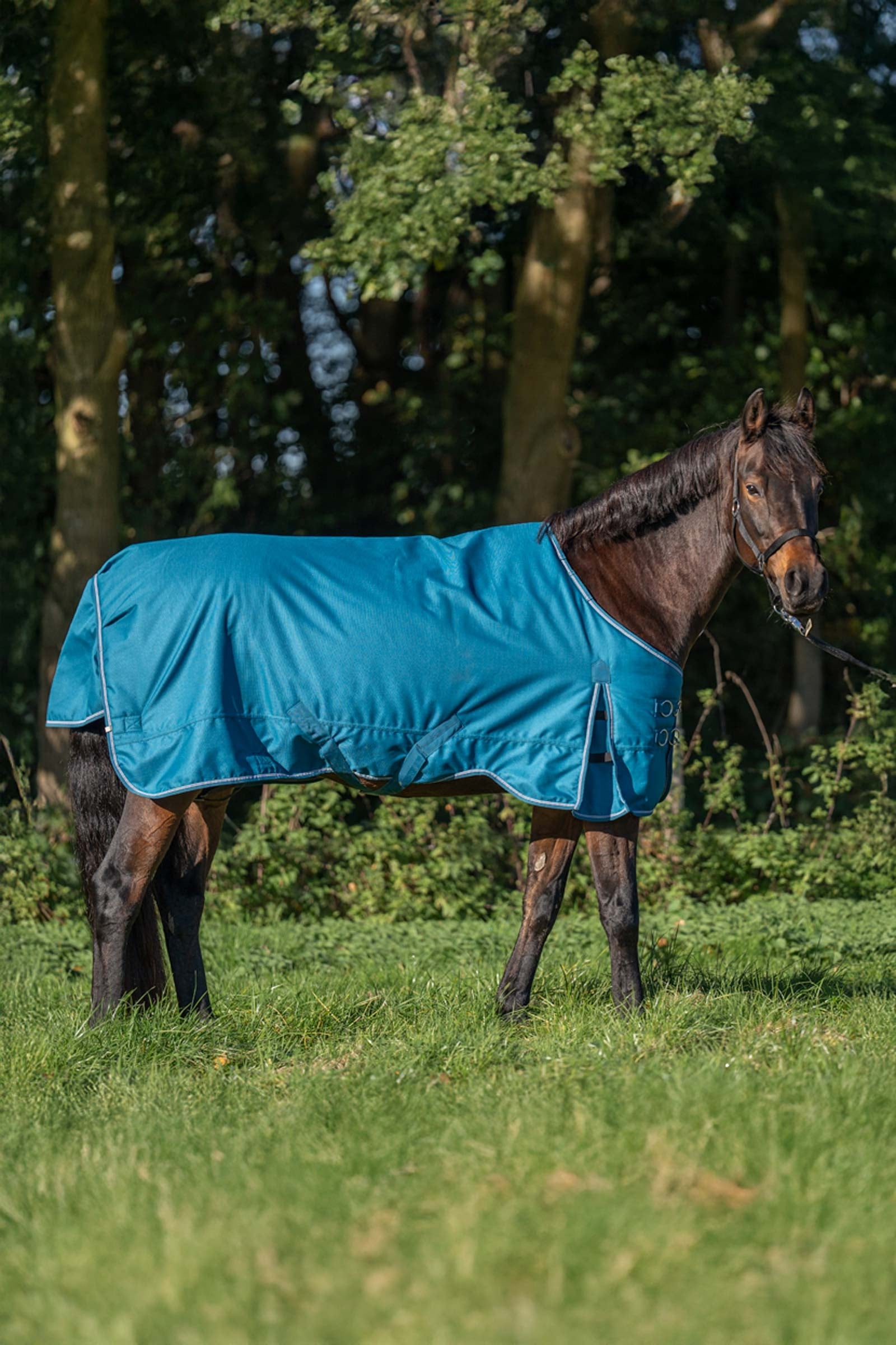 Kavalkade Alaska IV Turnout Rug, 100 g Lótakarók