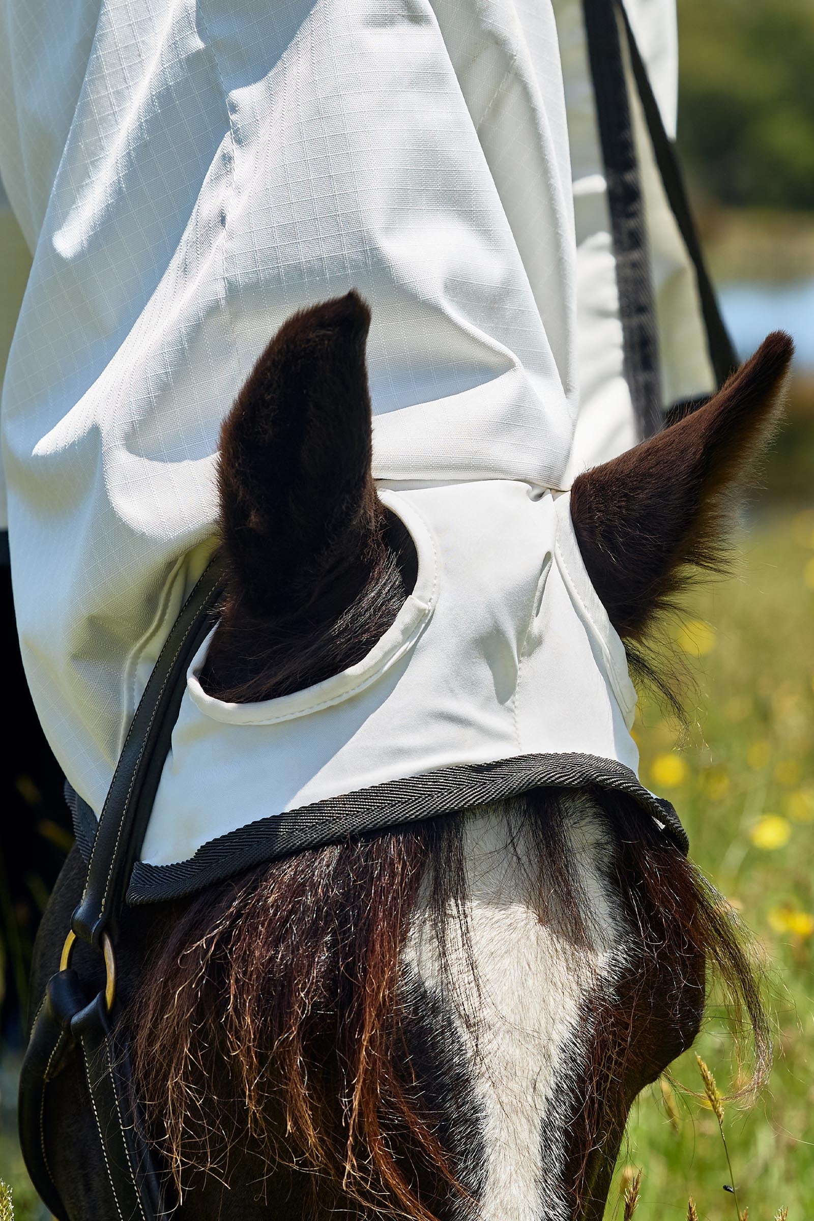 Weatherbeeta Comfitec Sweet Itch Shield Fly Sheet Combo W. Fixed Neck, 0g Horse Rugs