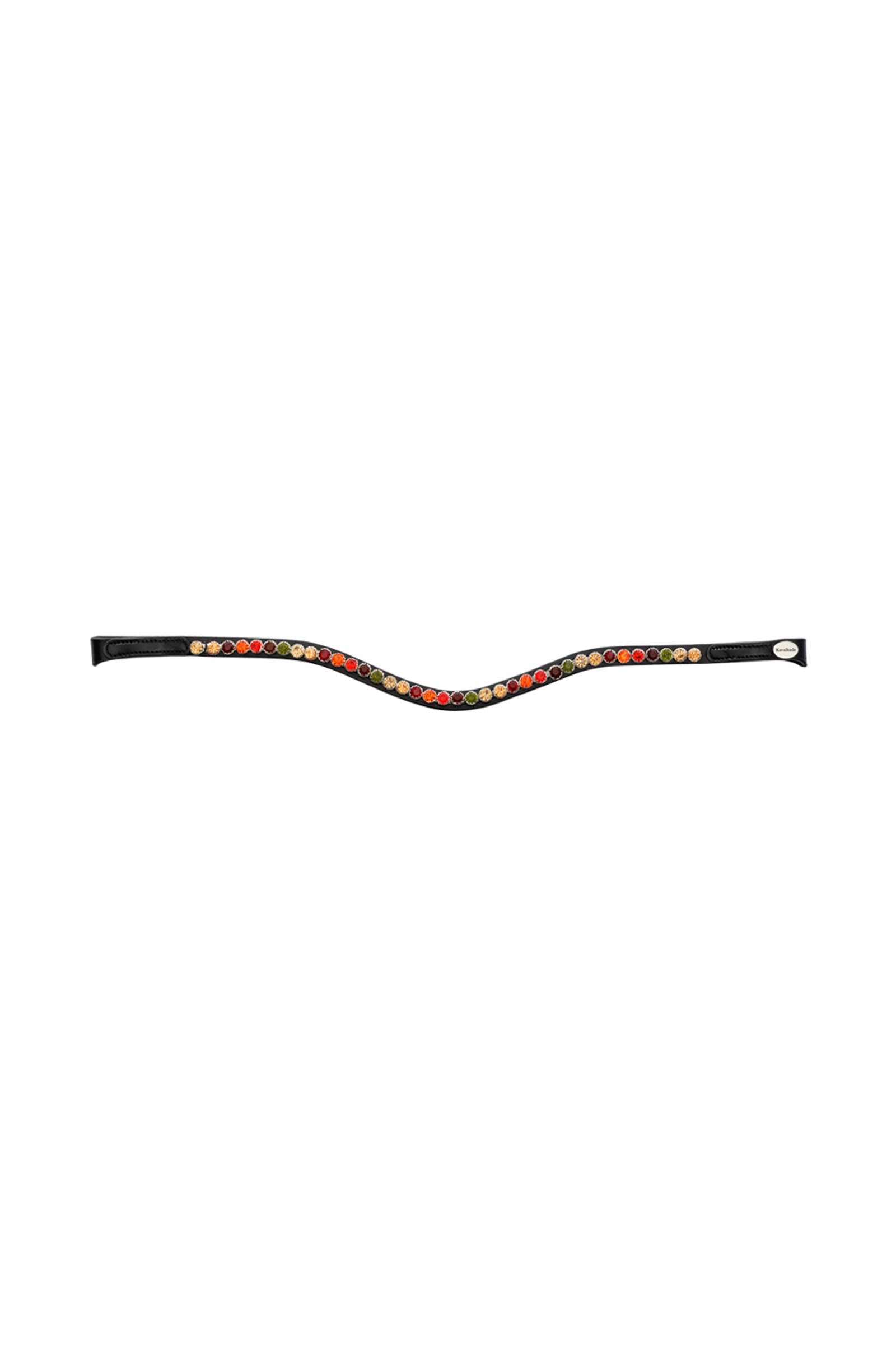 Alt Tag fallback text for IMAGE
