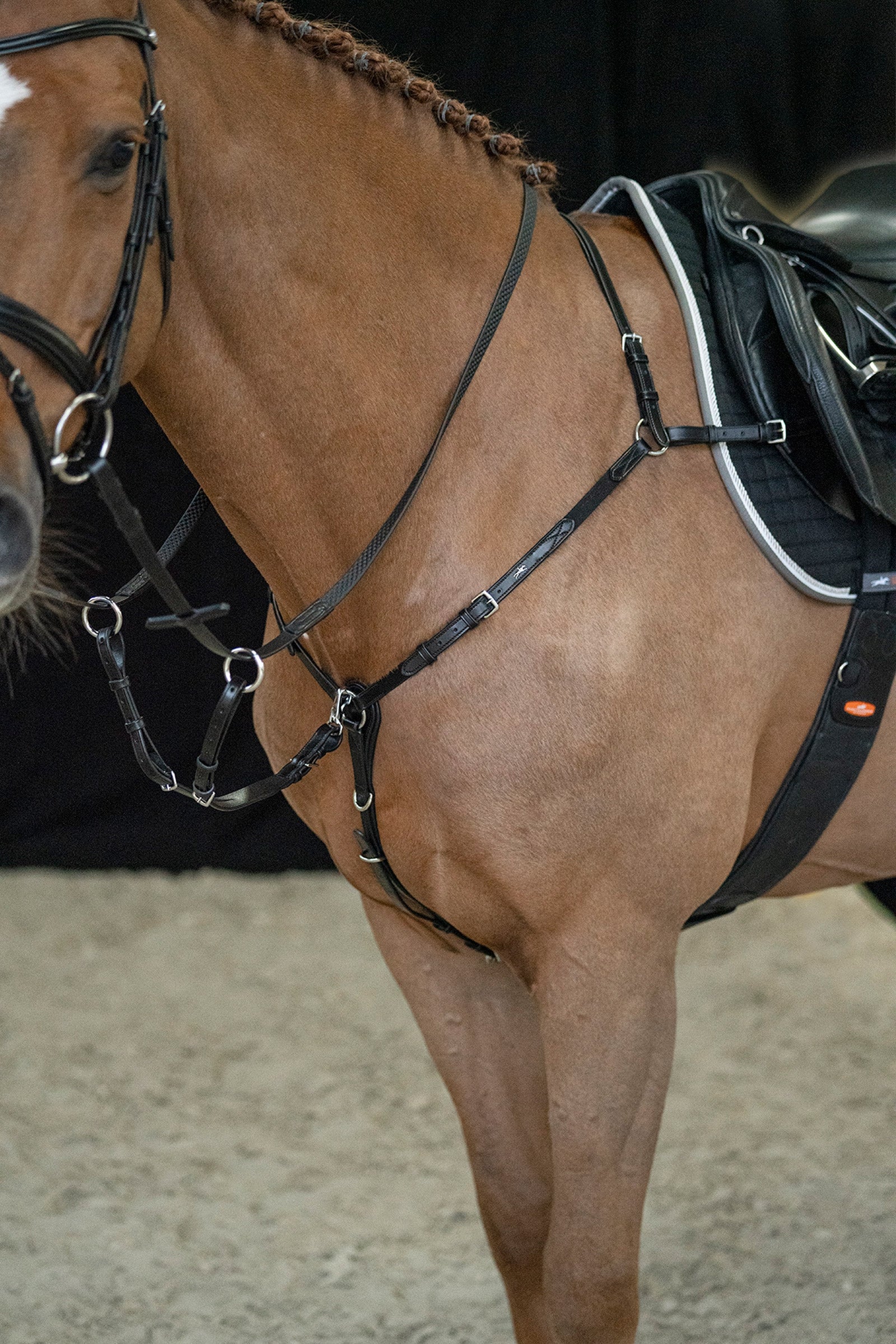 Schockemöhle Sports Como Breastplate Bridles & Reins